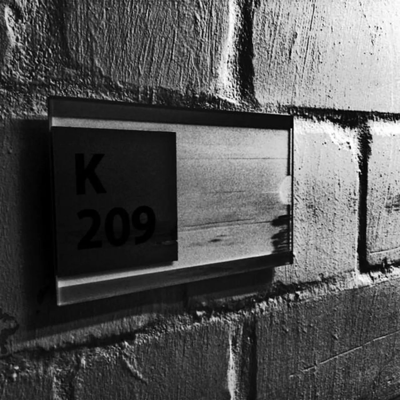K209