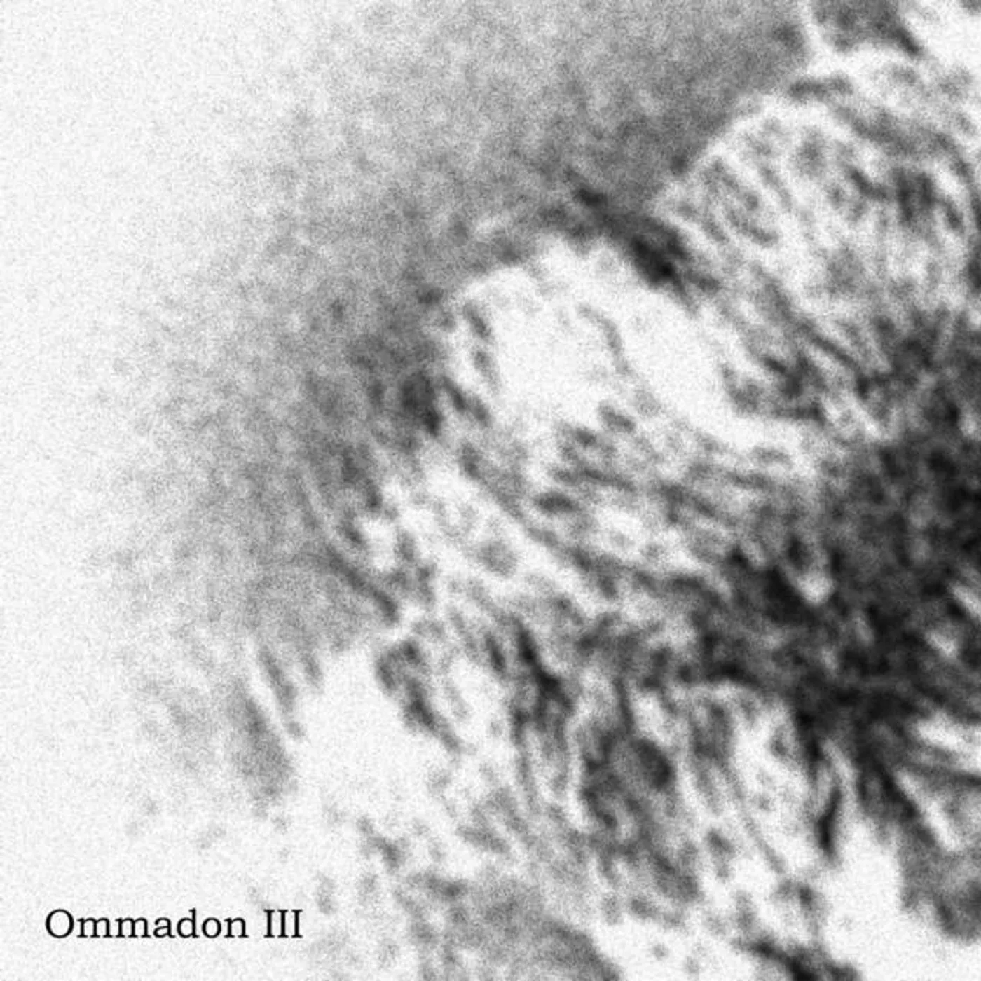 Ommadon