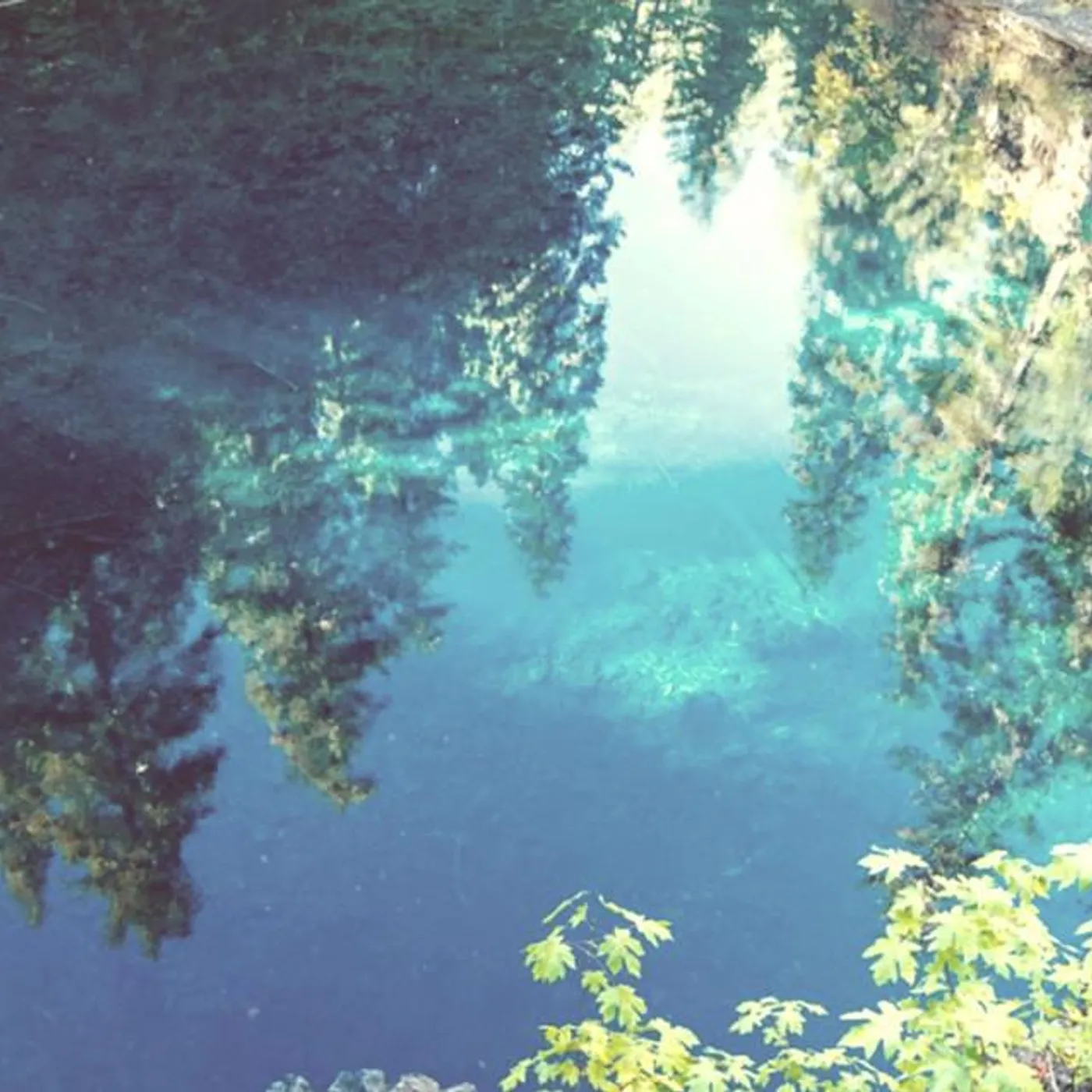 Omni Gardens Brand Page