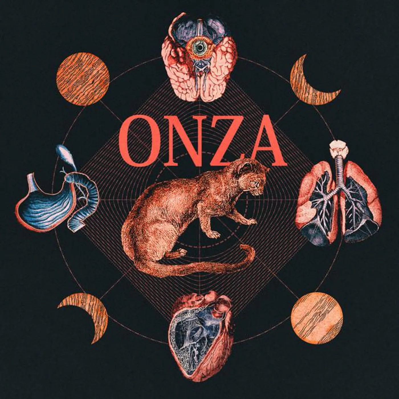 Onza Brand Page