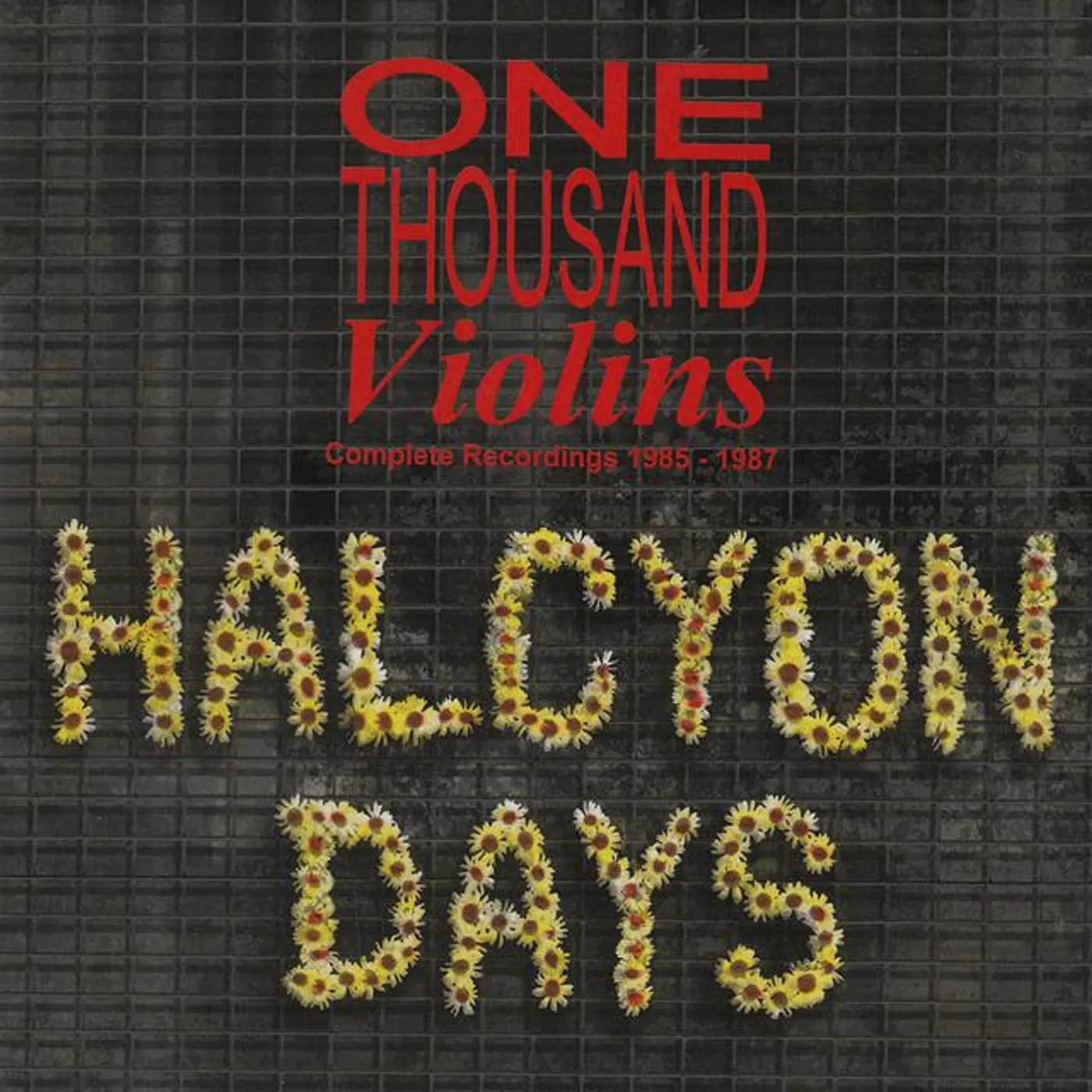 One Thousand Violins Brand Page