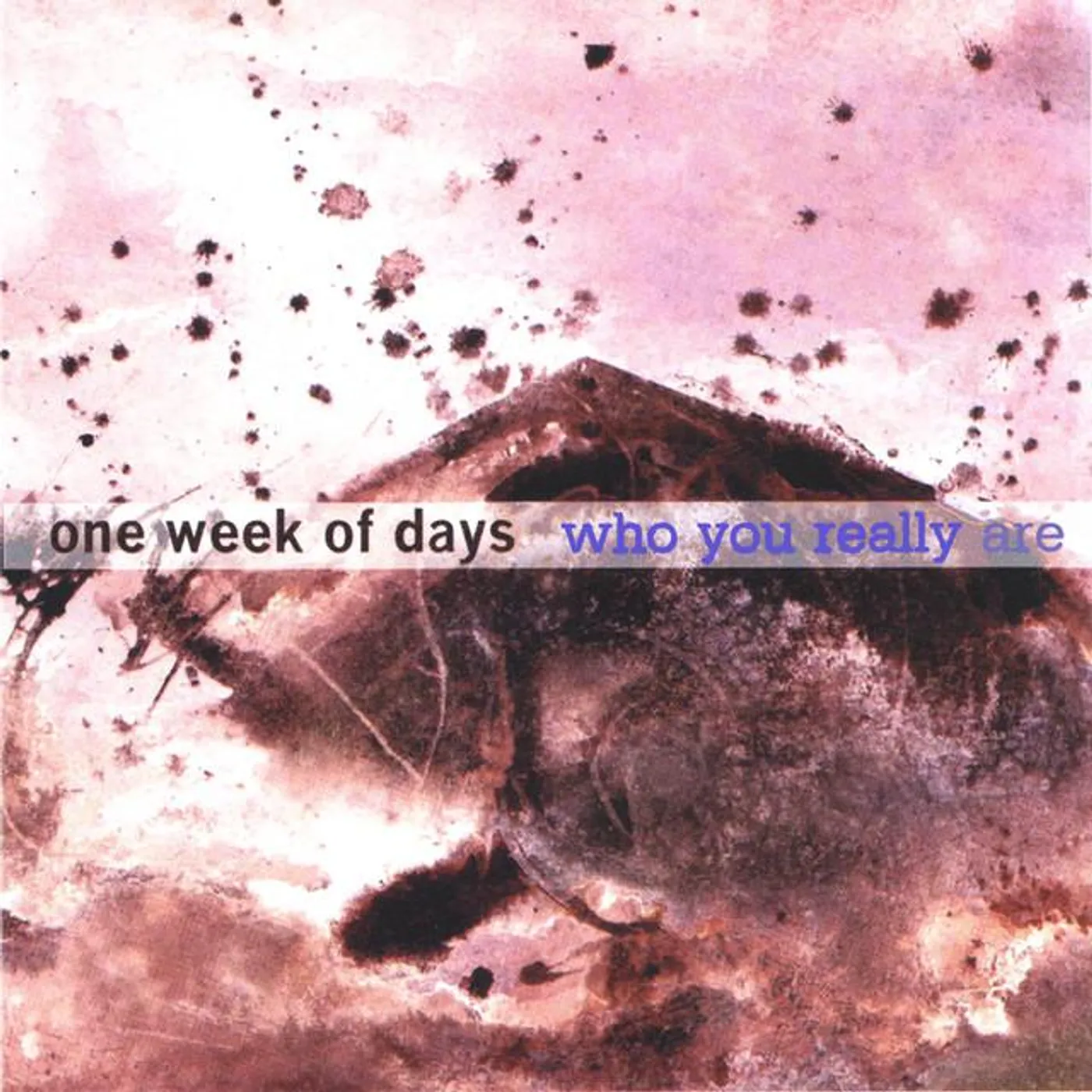 One Week Of Days