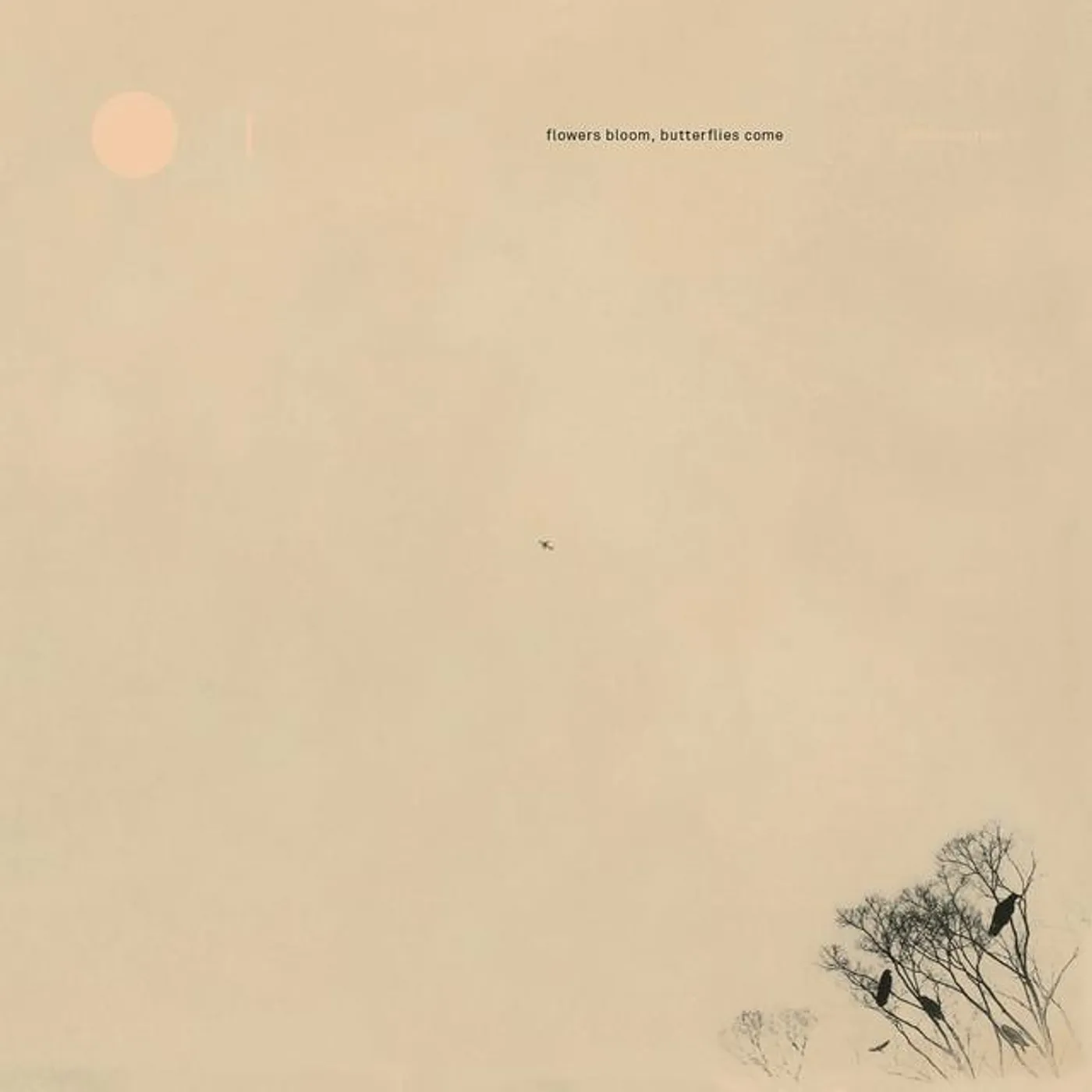 Observatories Brand Page