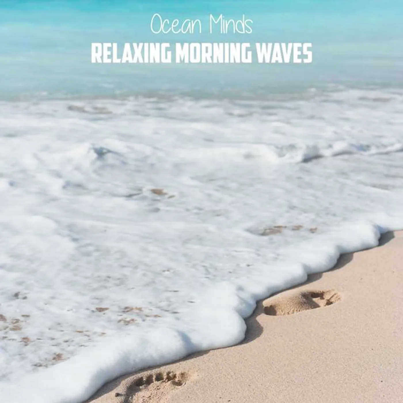 Ocean Minds