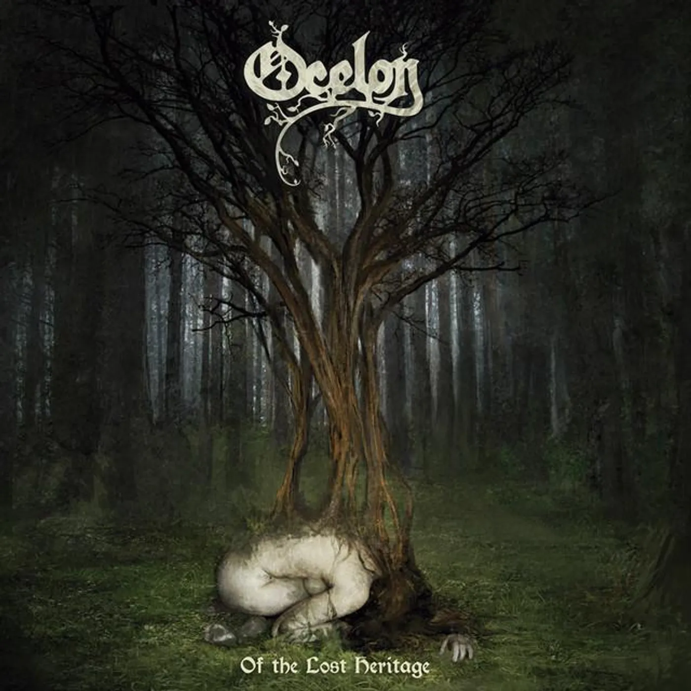 Ocelon