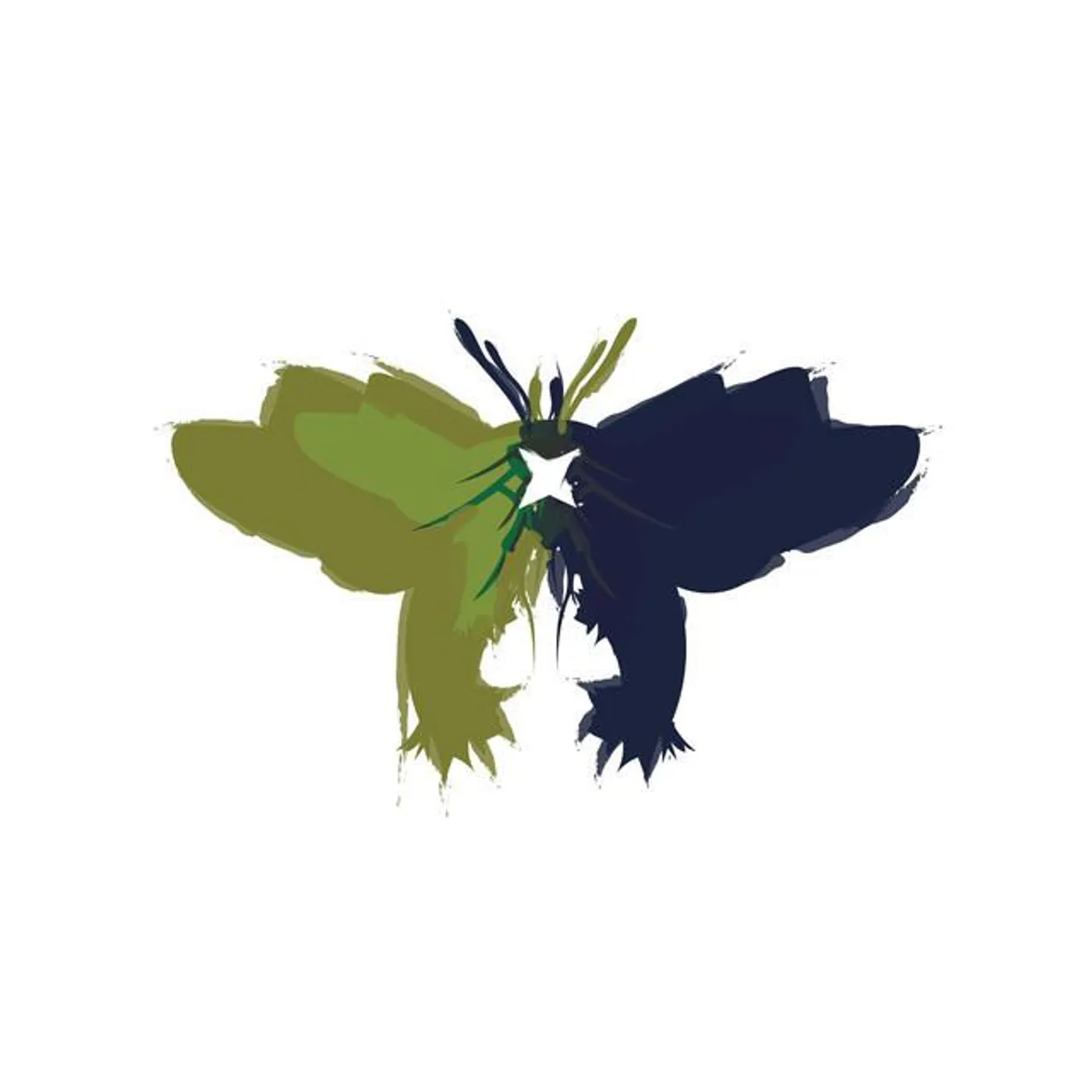 Of Moths And Stars Brand Page