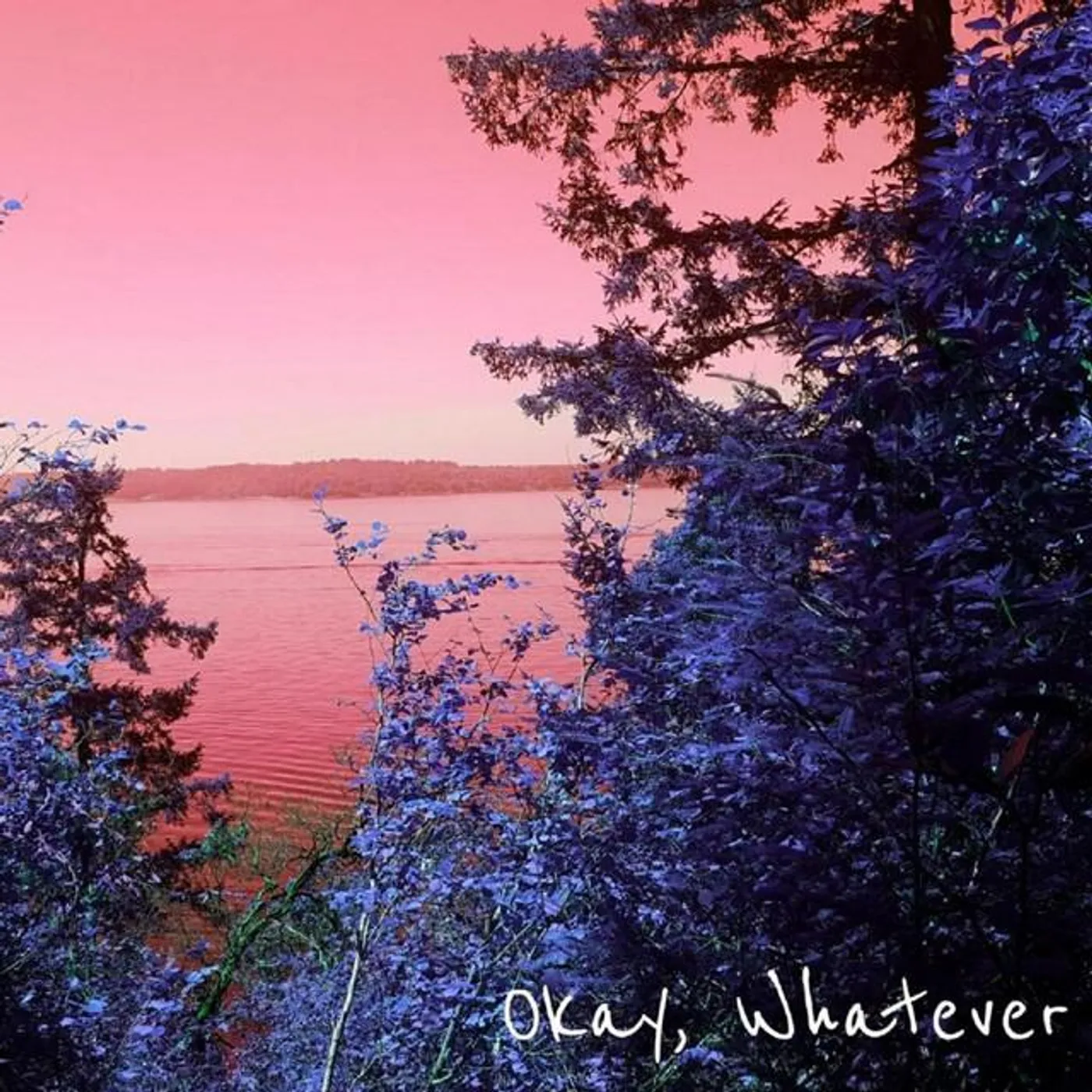 Okay, whatever