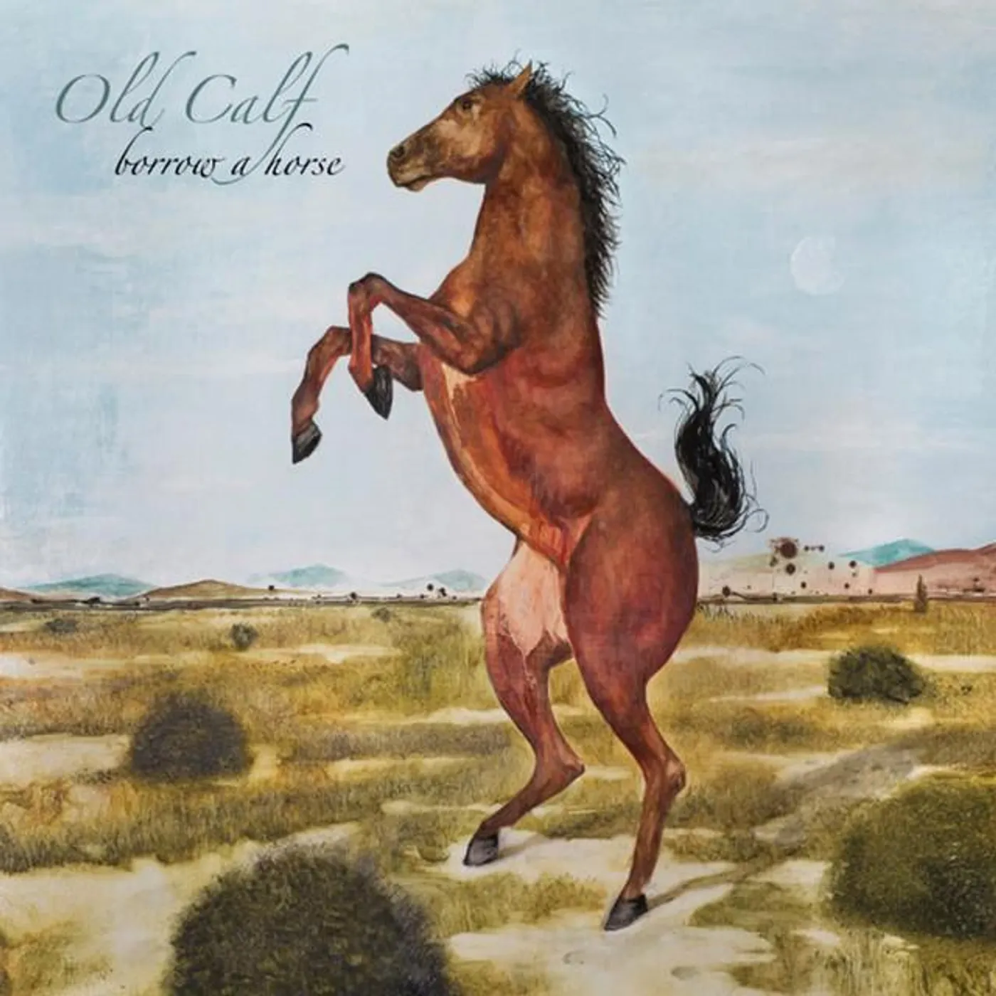Old Calf