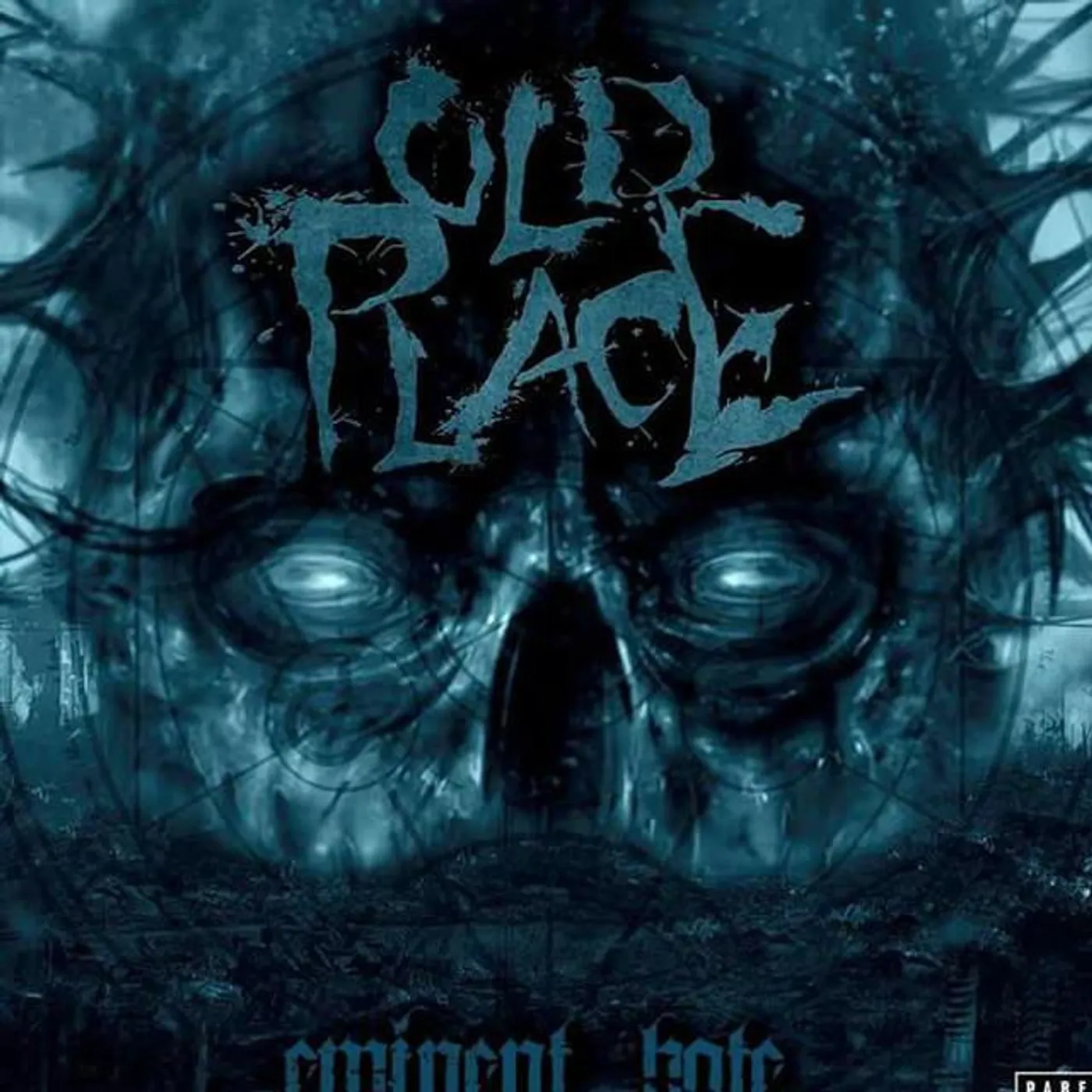 Old Place
