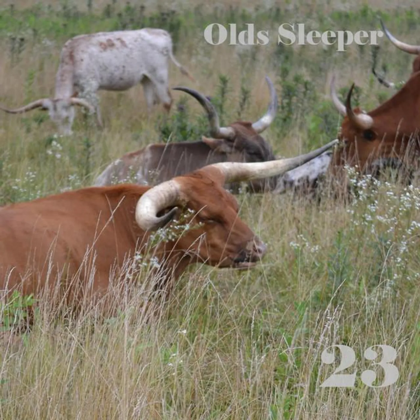 Olds Sleeper