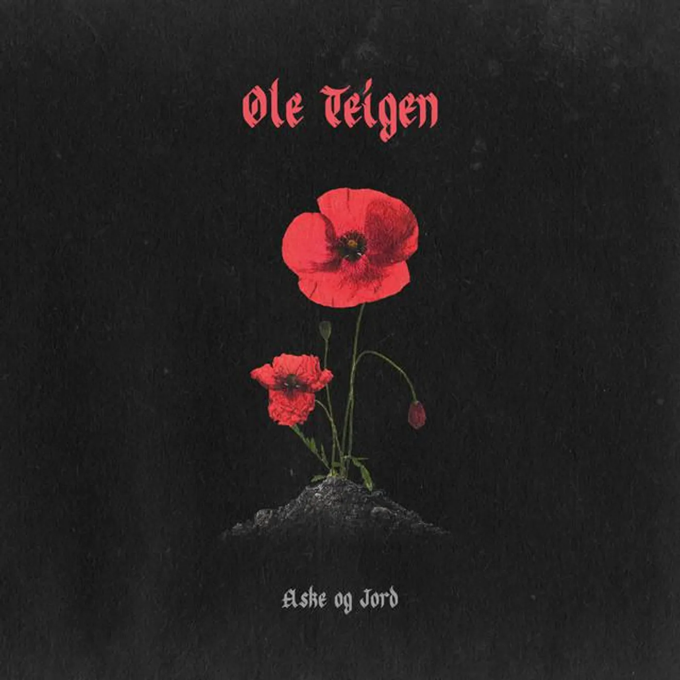 Ole Teigen Brand Page