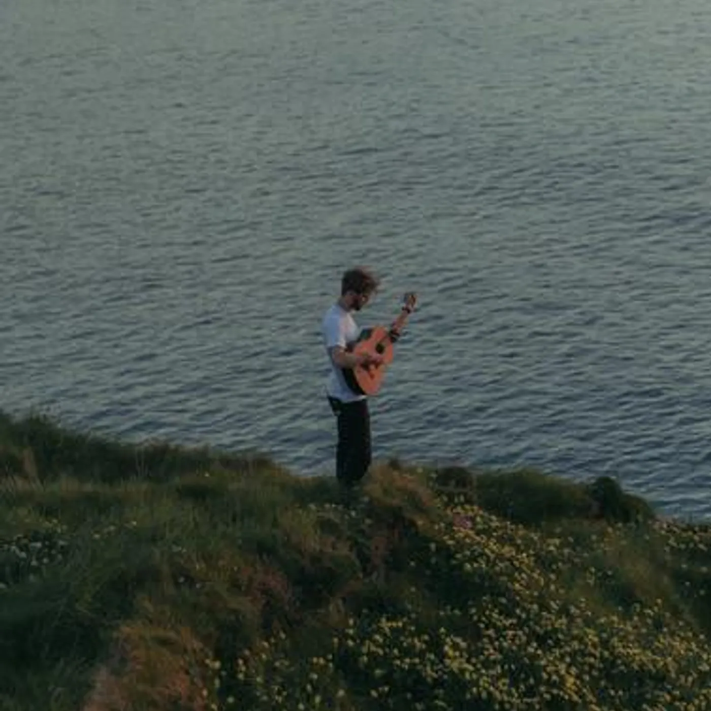 Ollie Dixon Brand Page