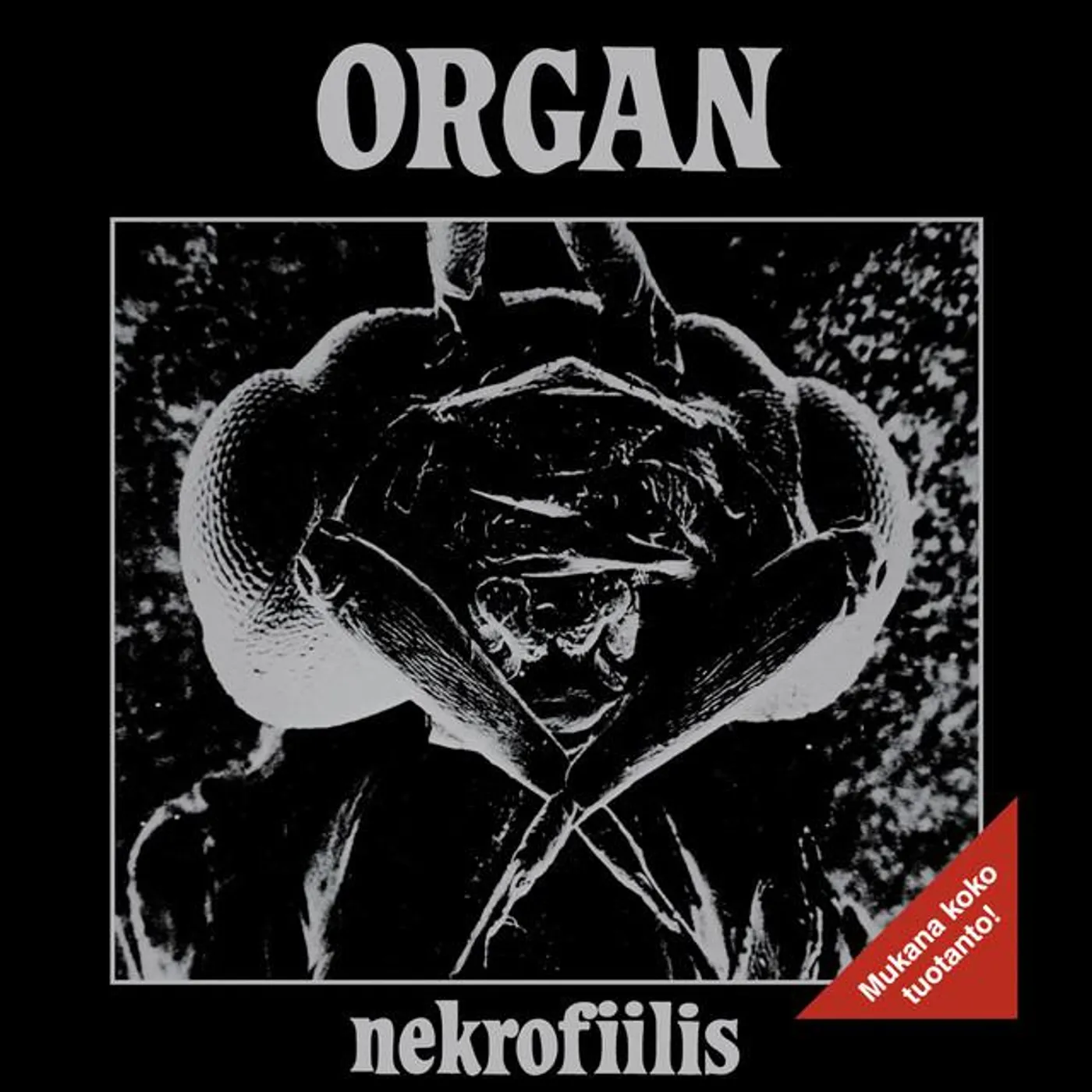 Organ Brand Page