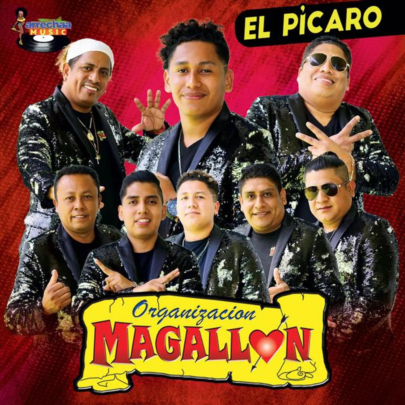 Organización Magallón
