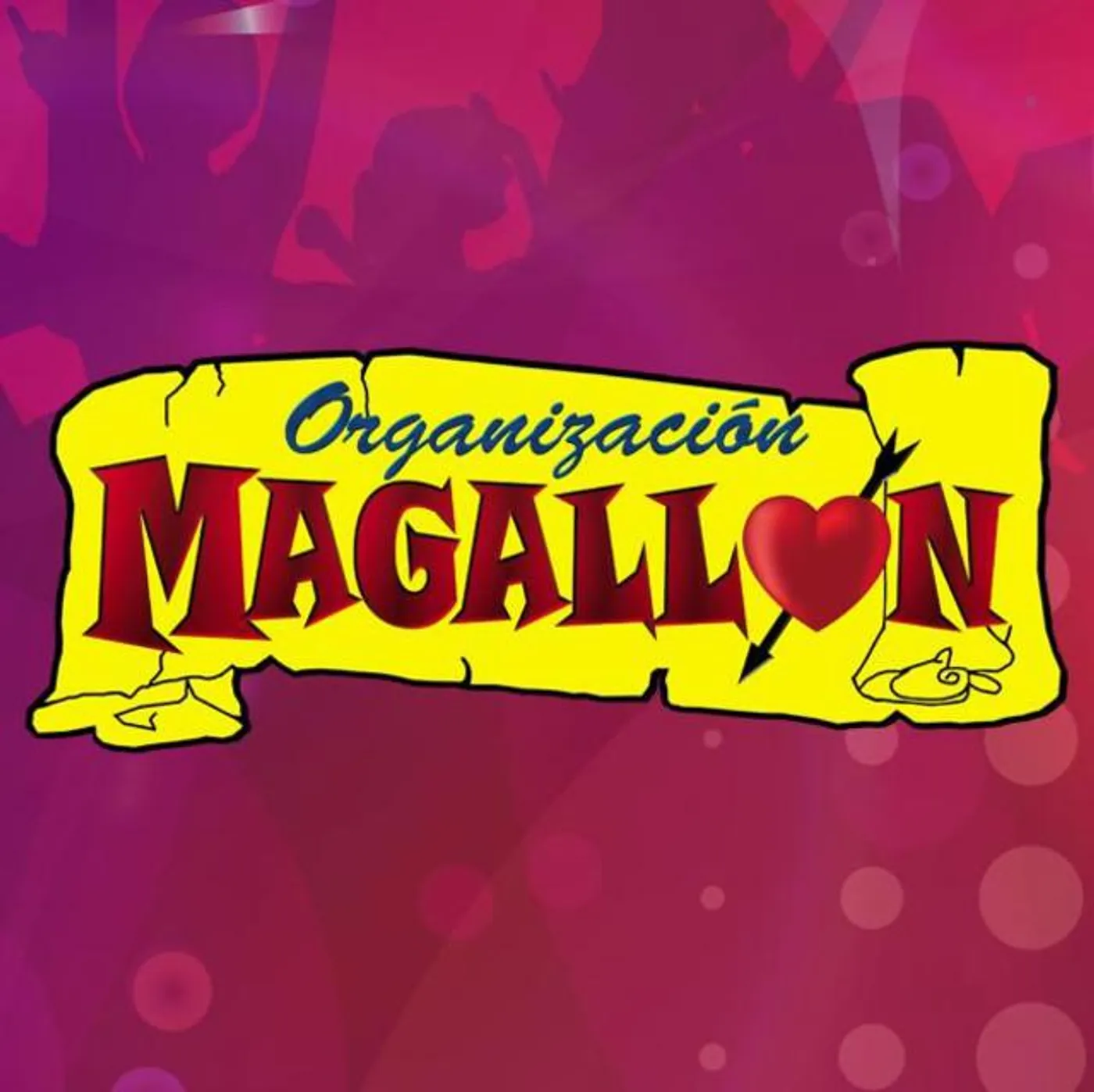 Organizacion Magallon