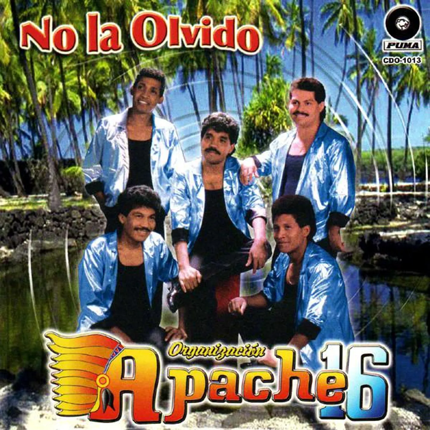 Organizacion Apache 16