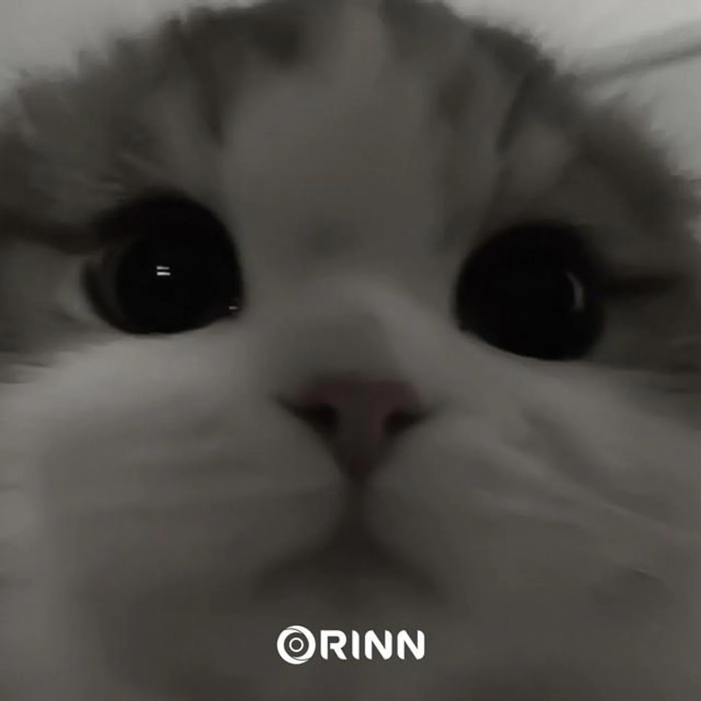 Orinn Sped Brand Page