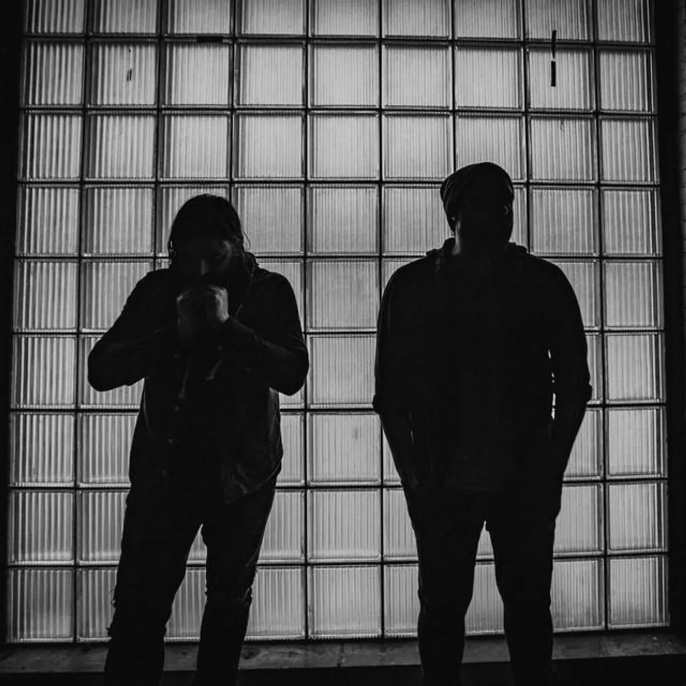 orphantwin