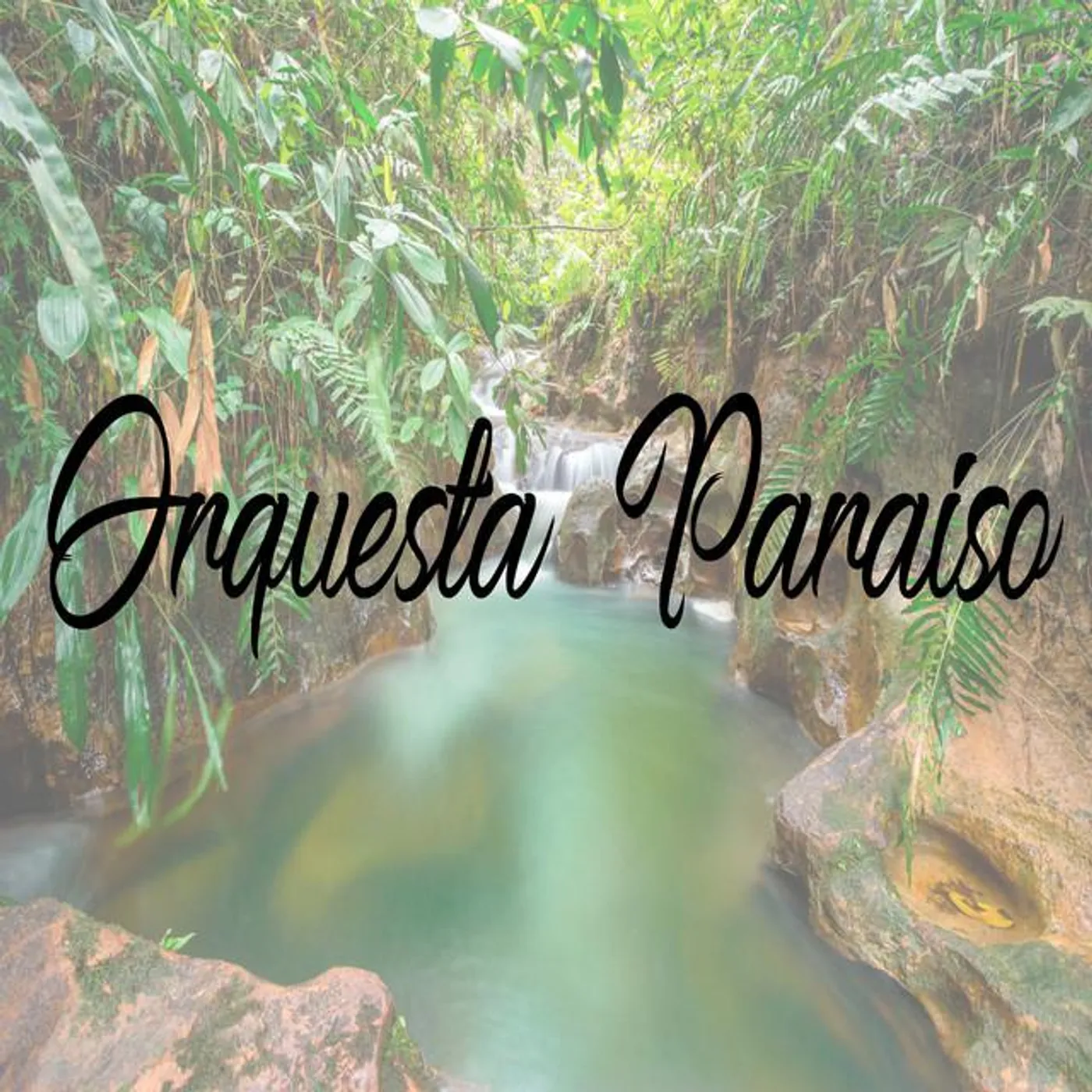 Orquesta Paraiso Brand Page