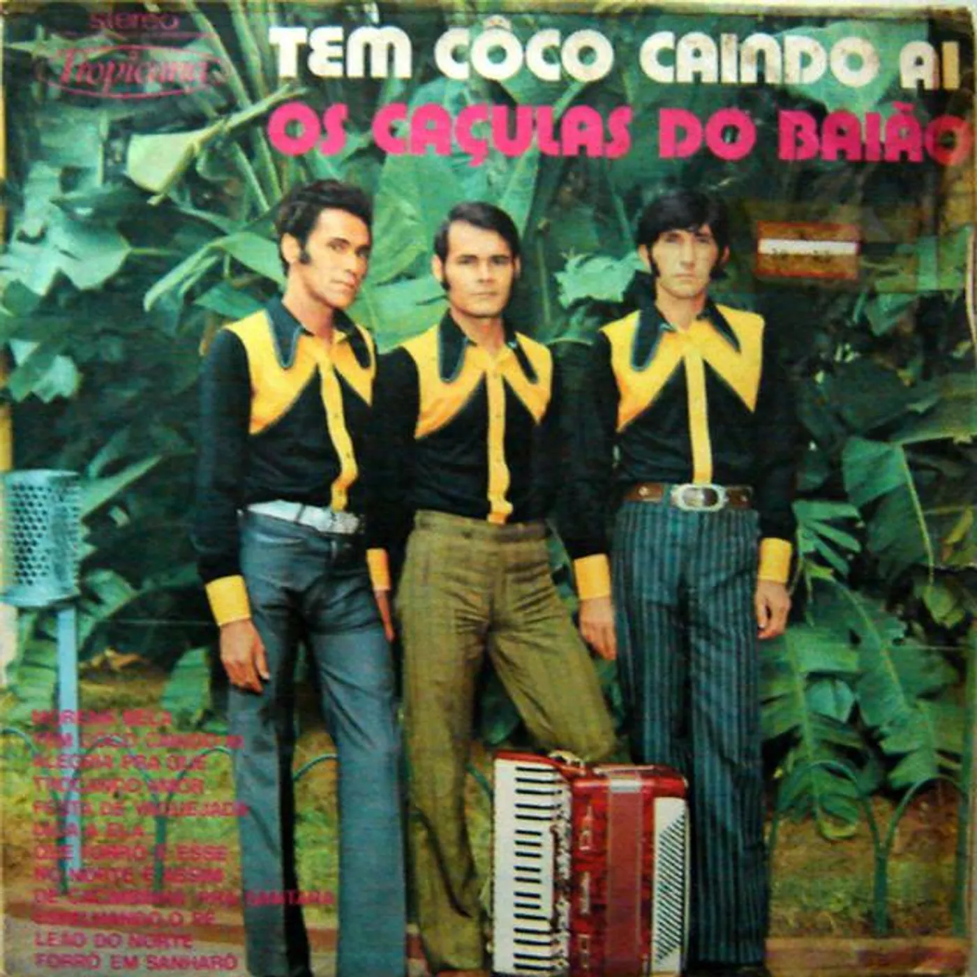 Os Caçulas Do Baião