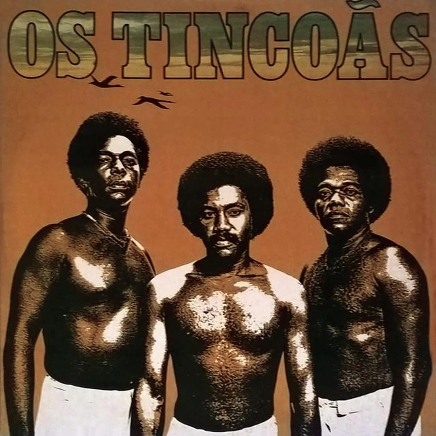 Os Tincoãs Brand Page