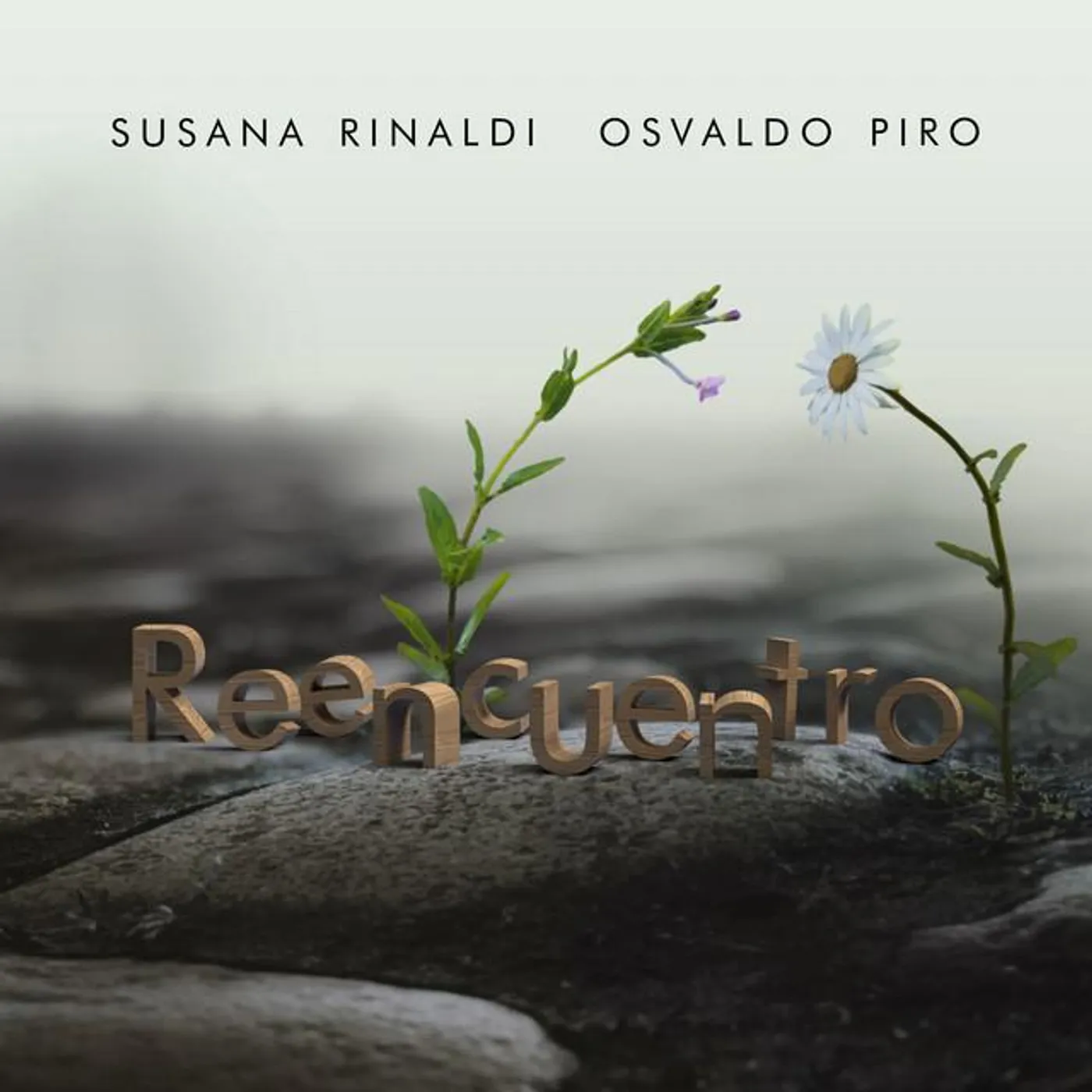 Osvaldo Piro Brand Page