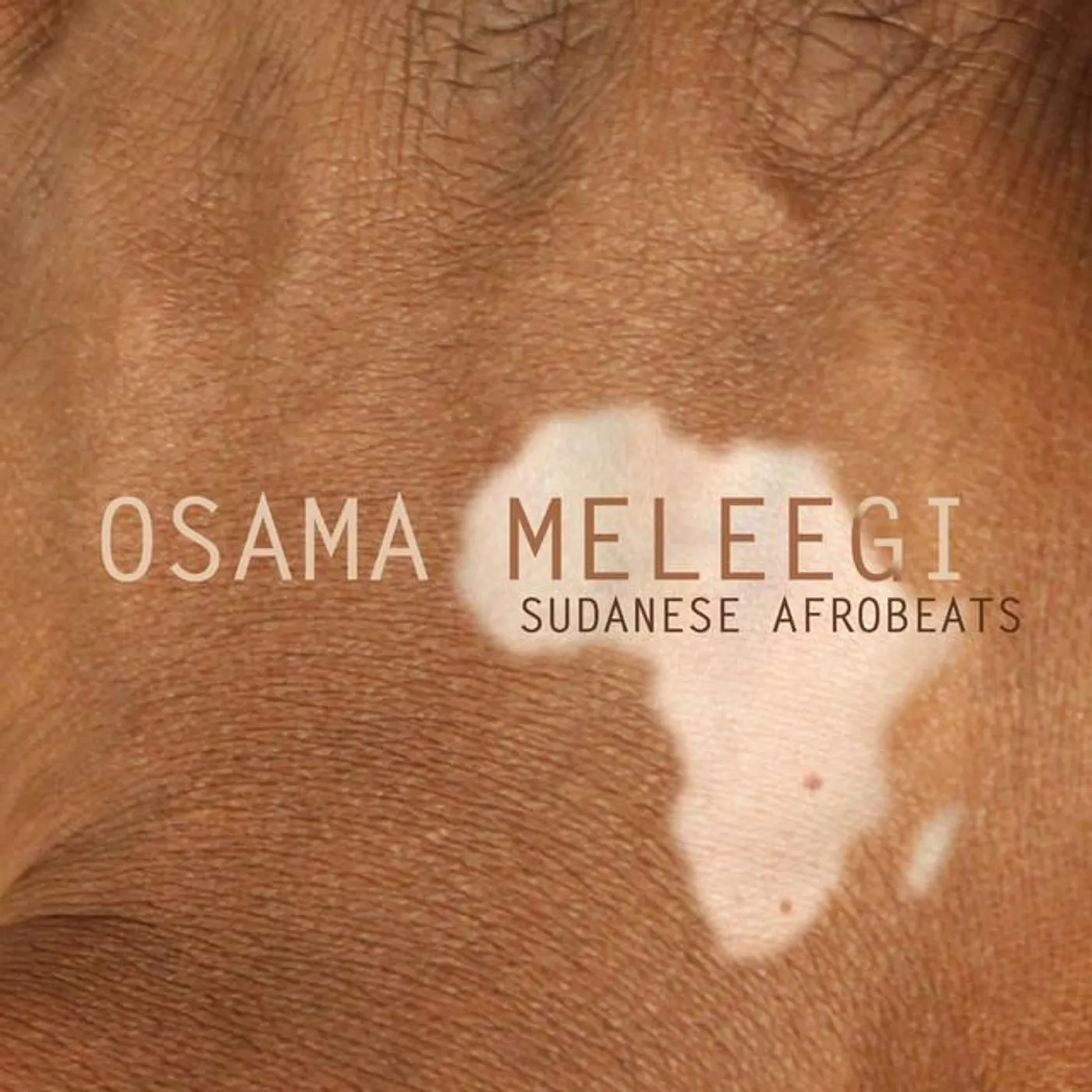 Osama Meleegi