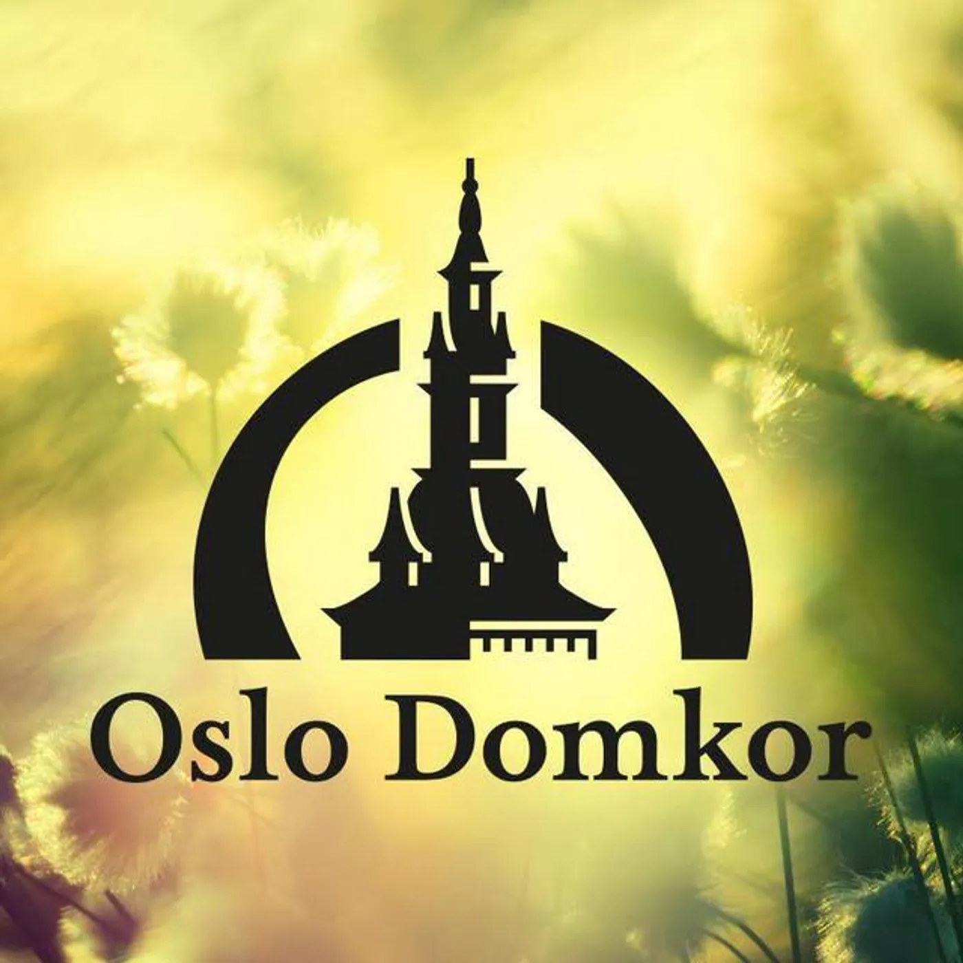 Oslo Domkor Brand Page