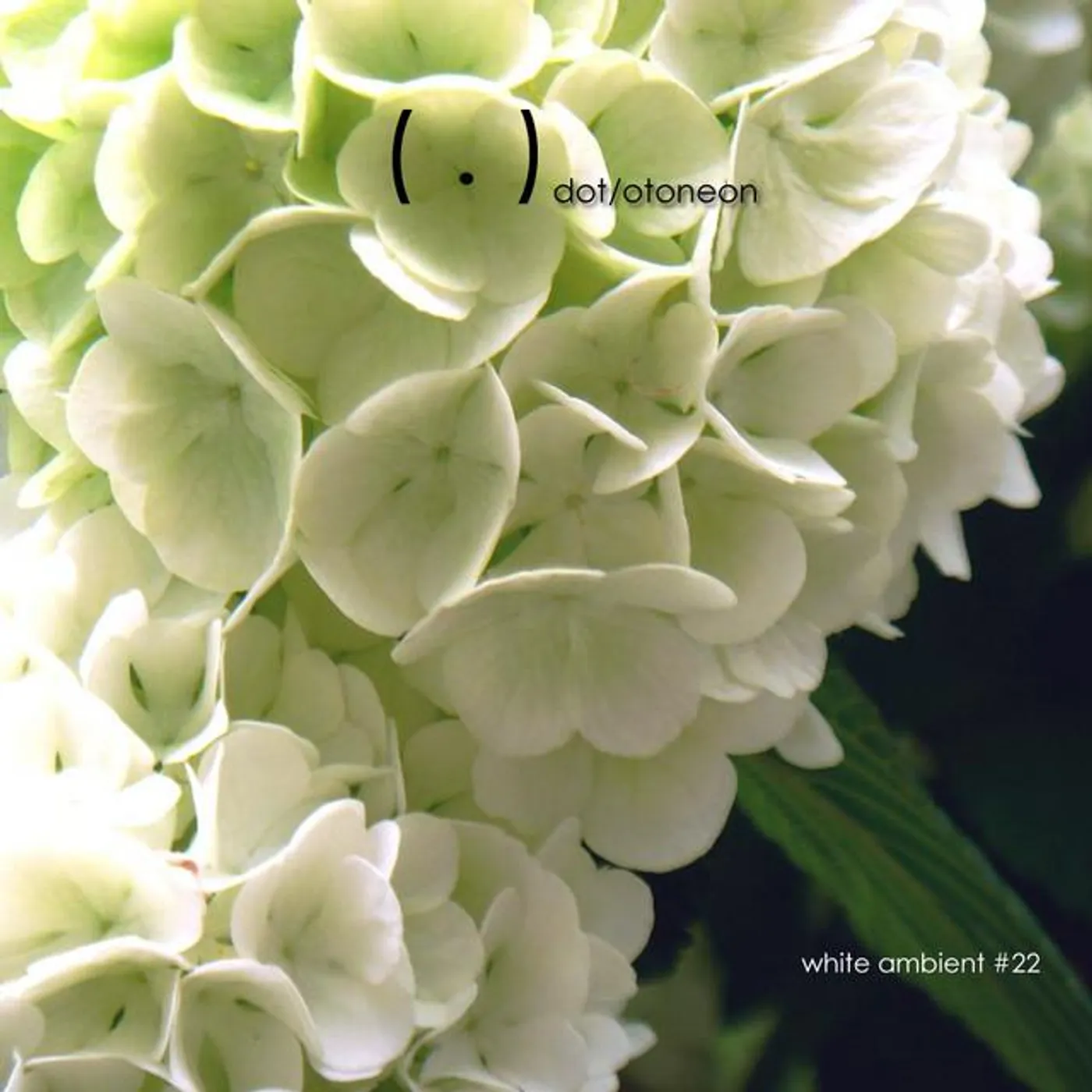 otoneon Brand Page