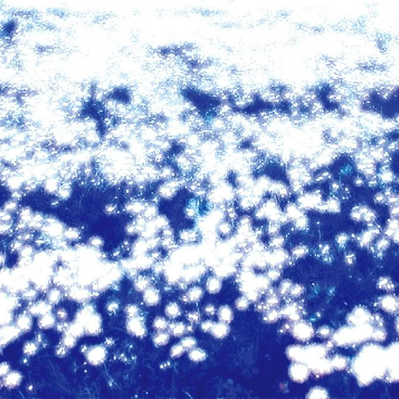 Ovum