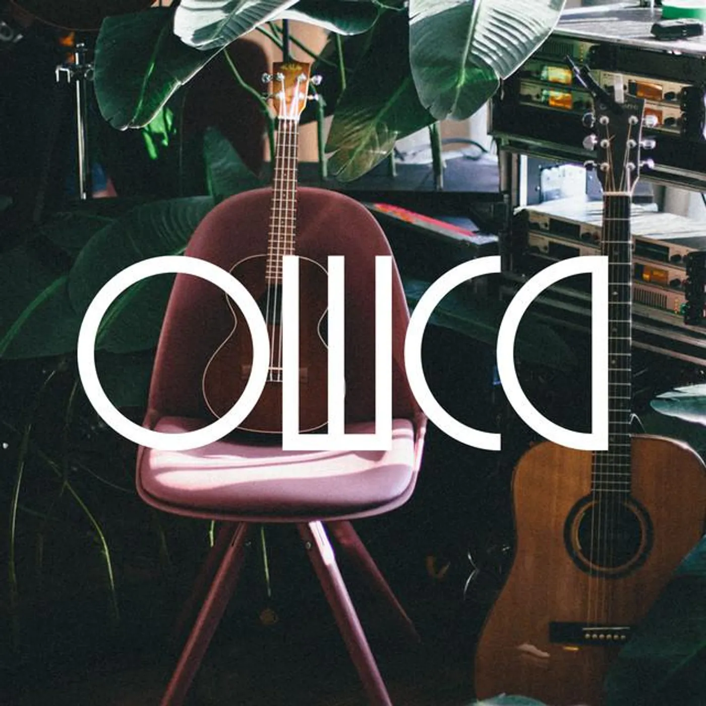 Owca