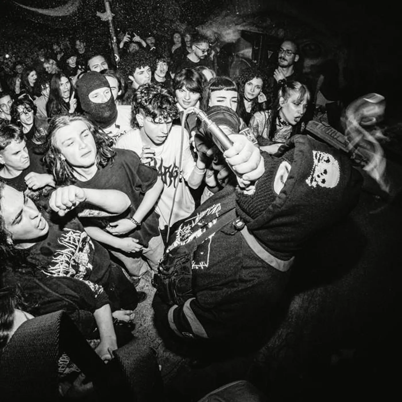 Ozone Dehumanizer