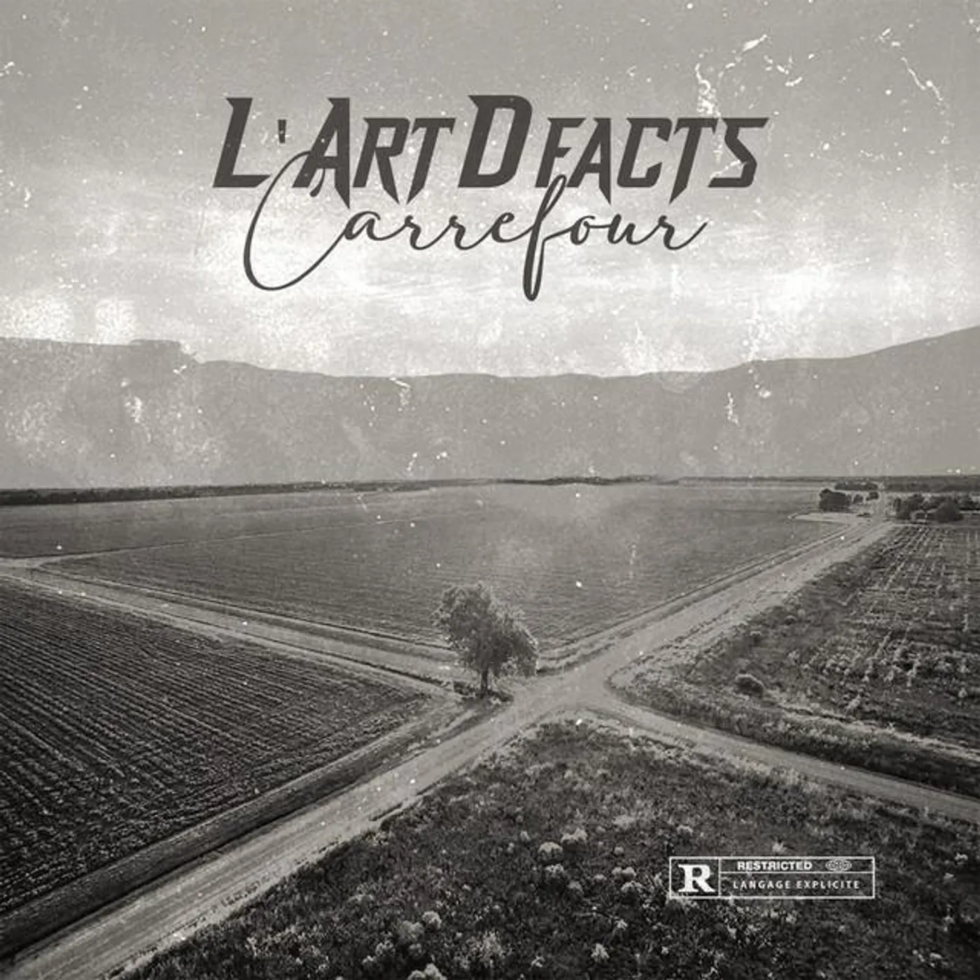 L'ArtDfacts
