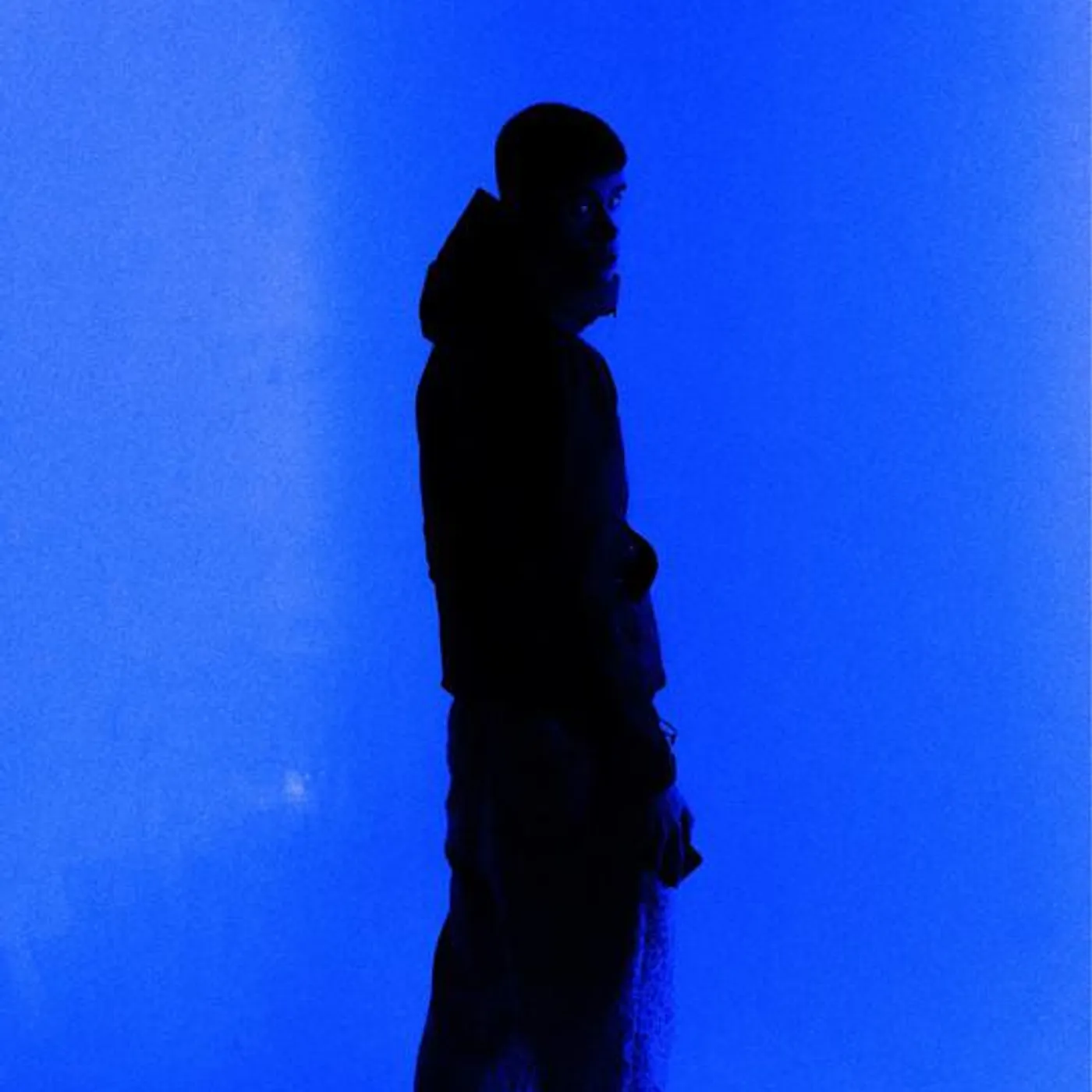 L'haine