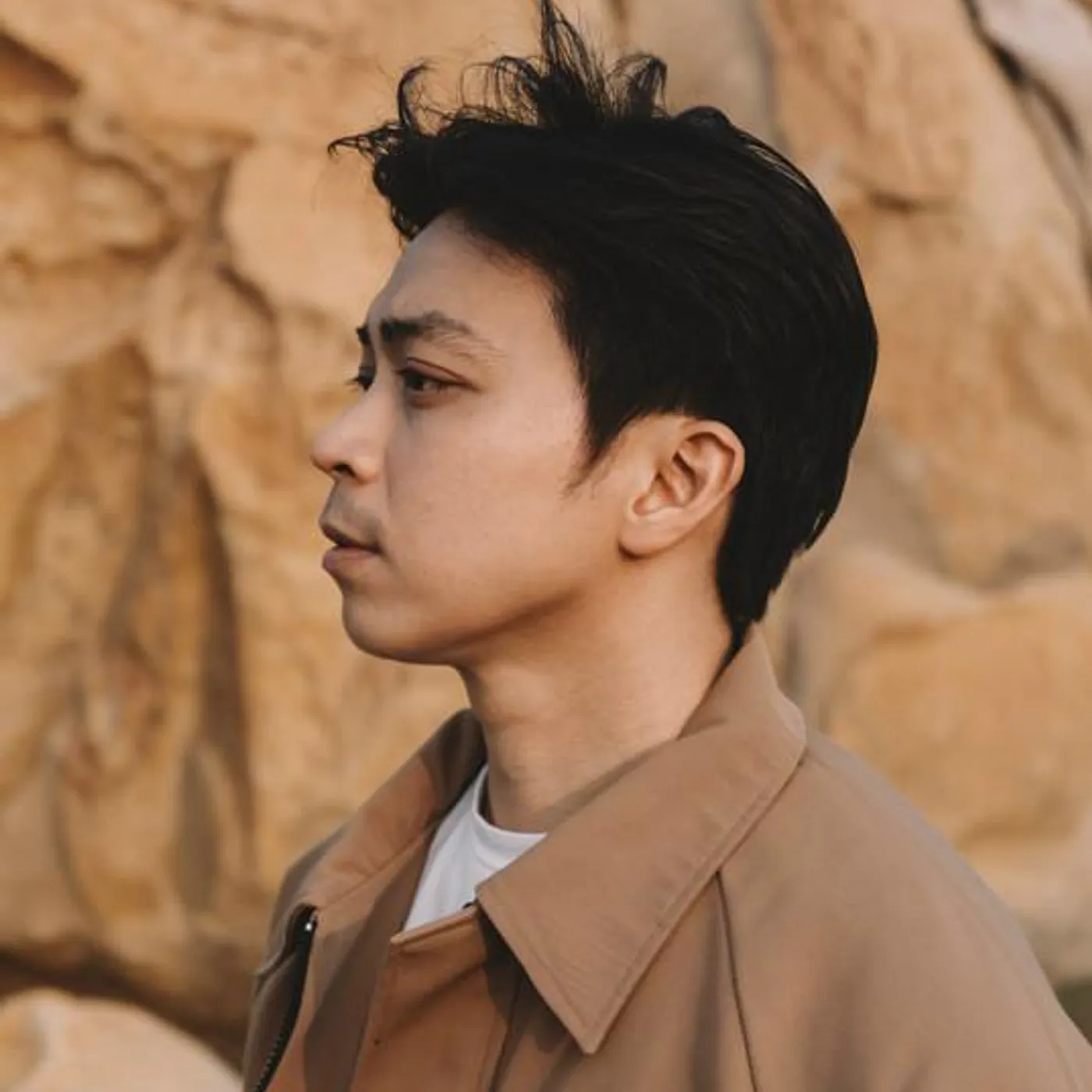 Lân Nhã Brand Page