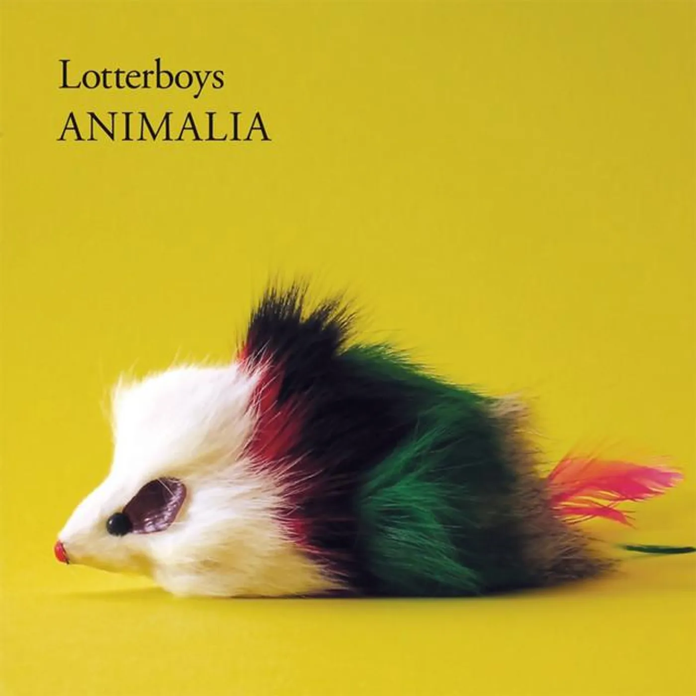 Lotterboys