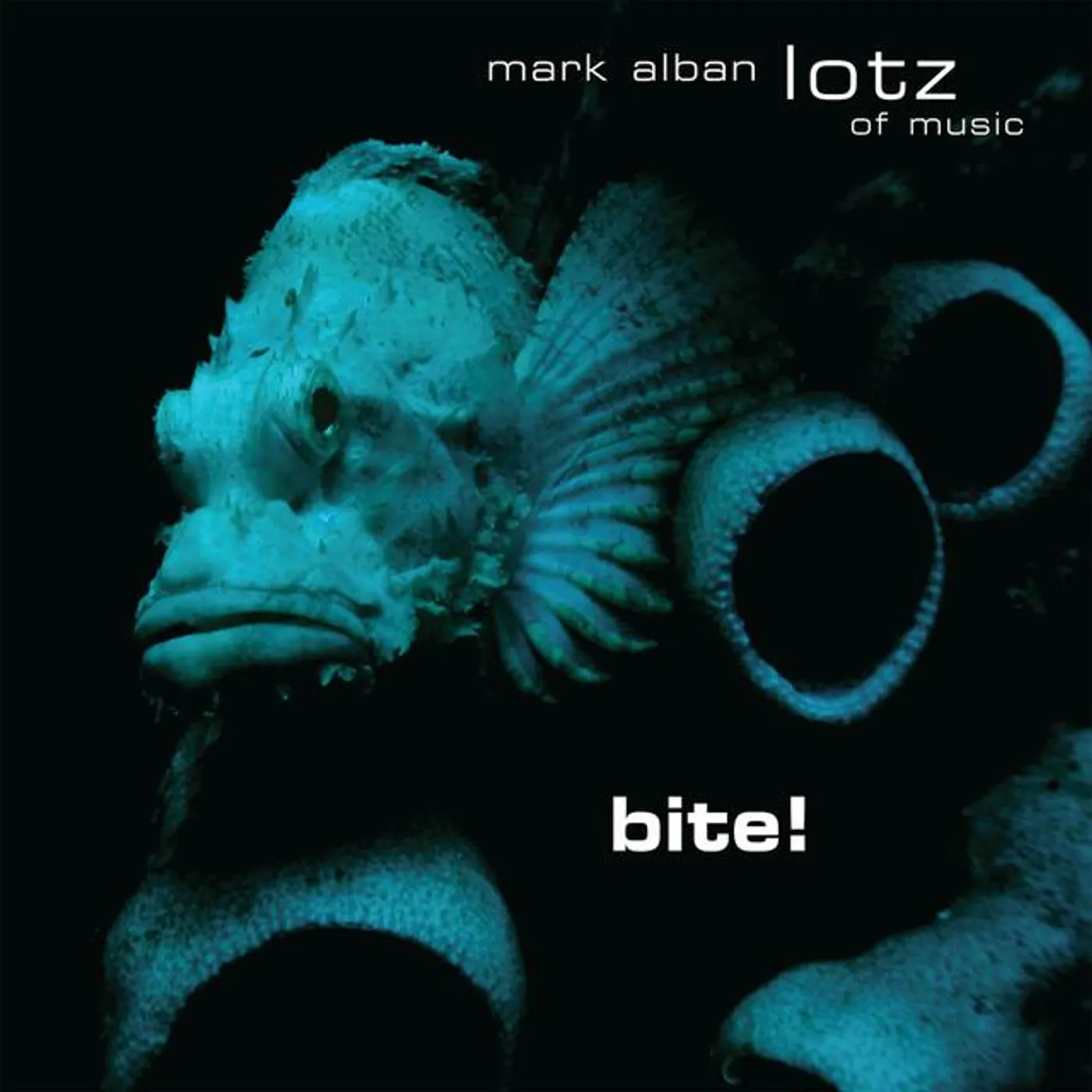 Lotz Of Music Brand Page