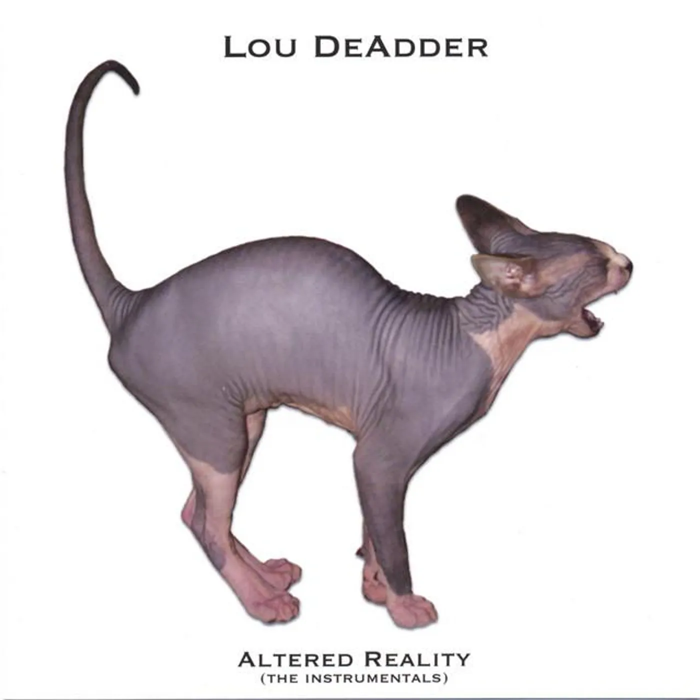 Lou DeAdder