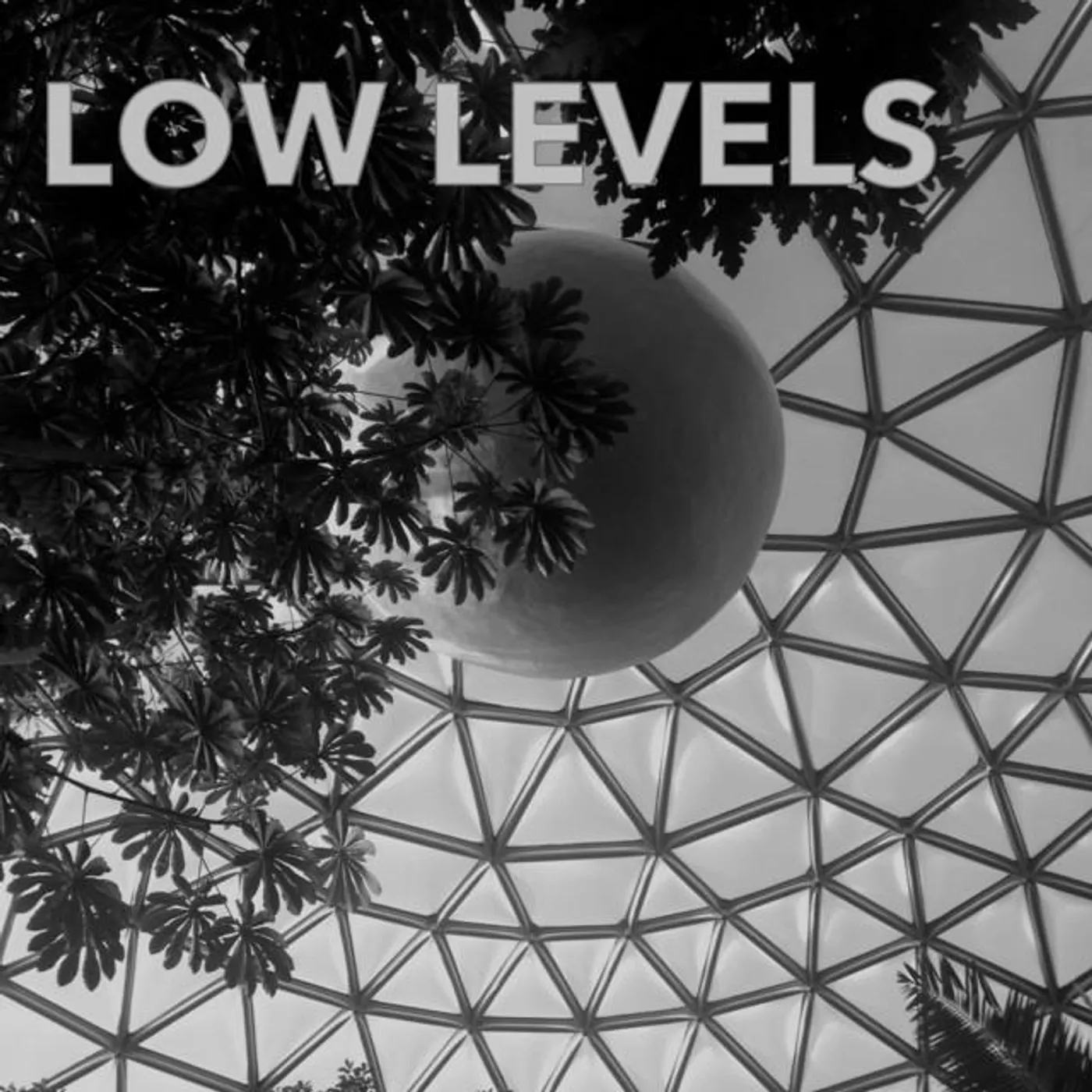 Low Levels Brand Page