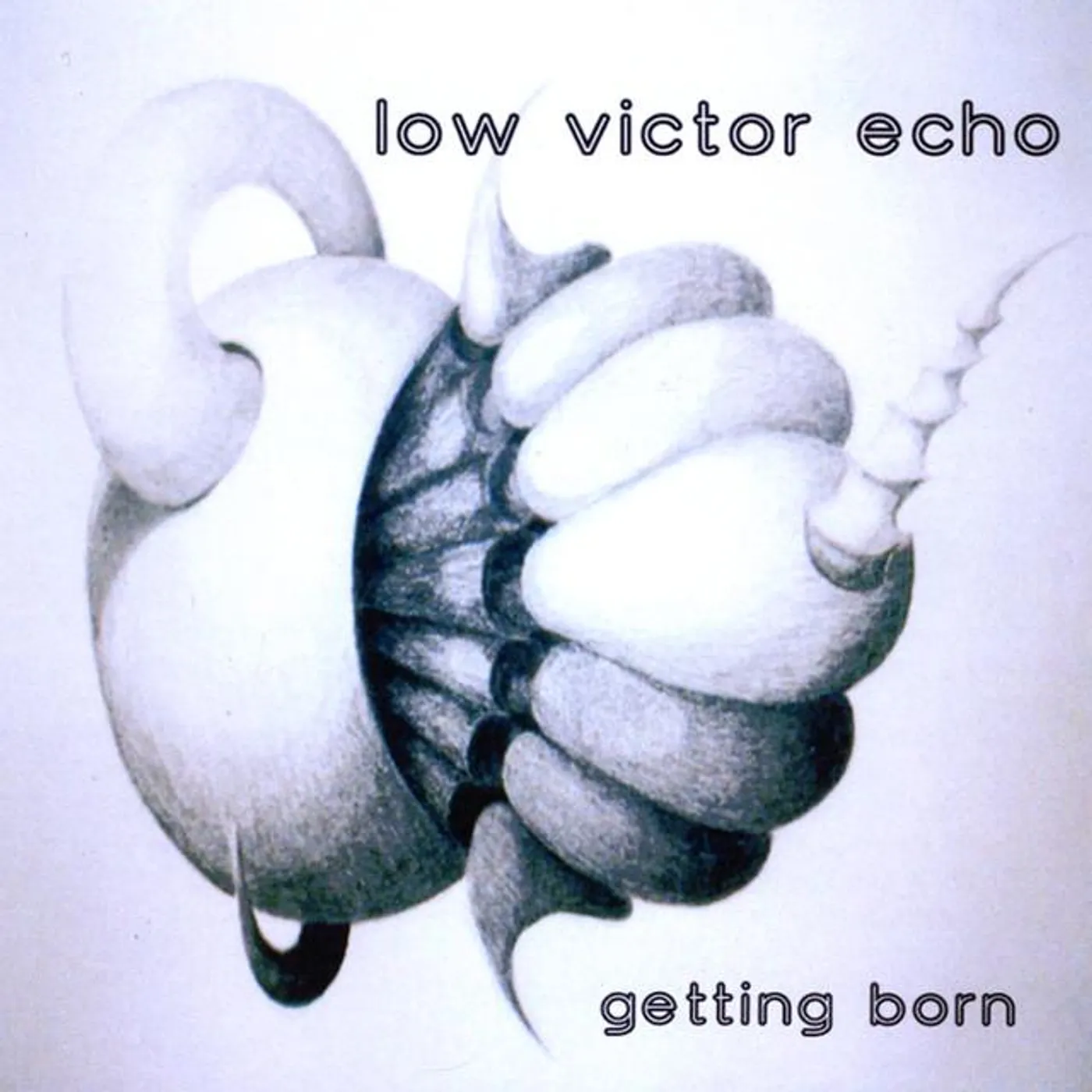 Low Victor Echo