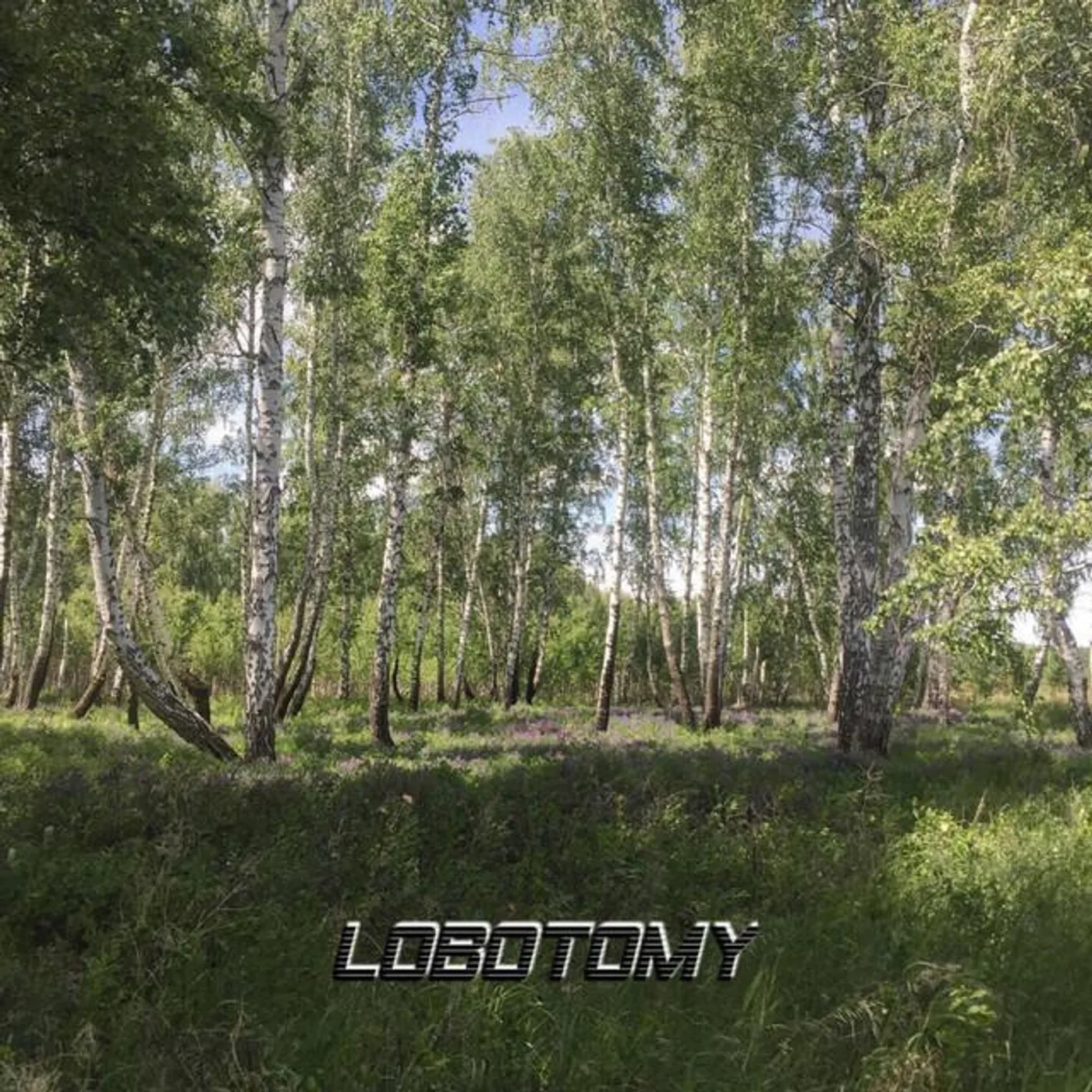 Lobotomy