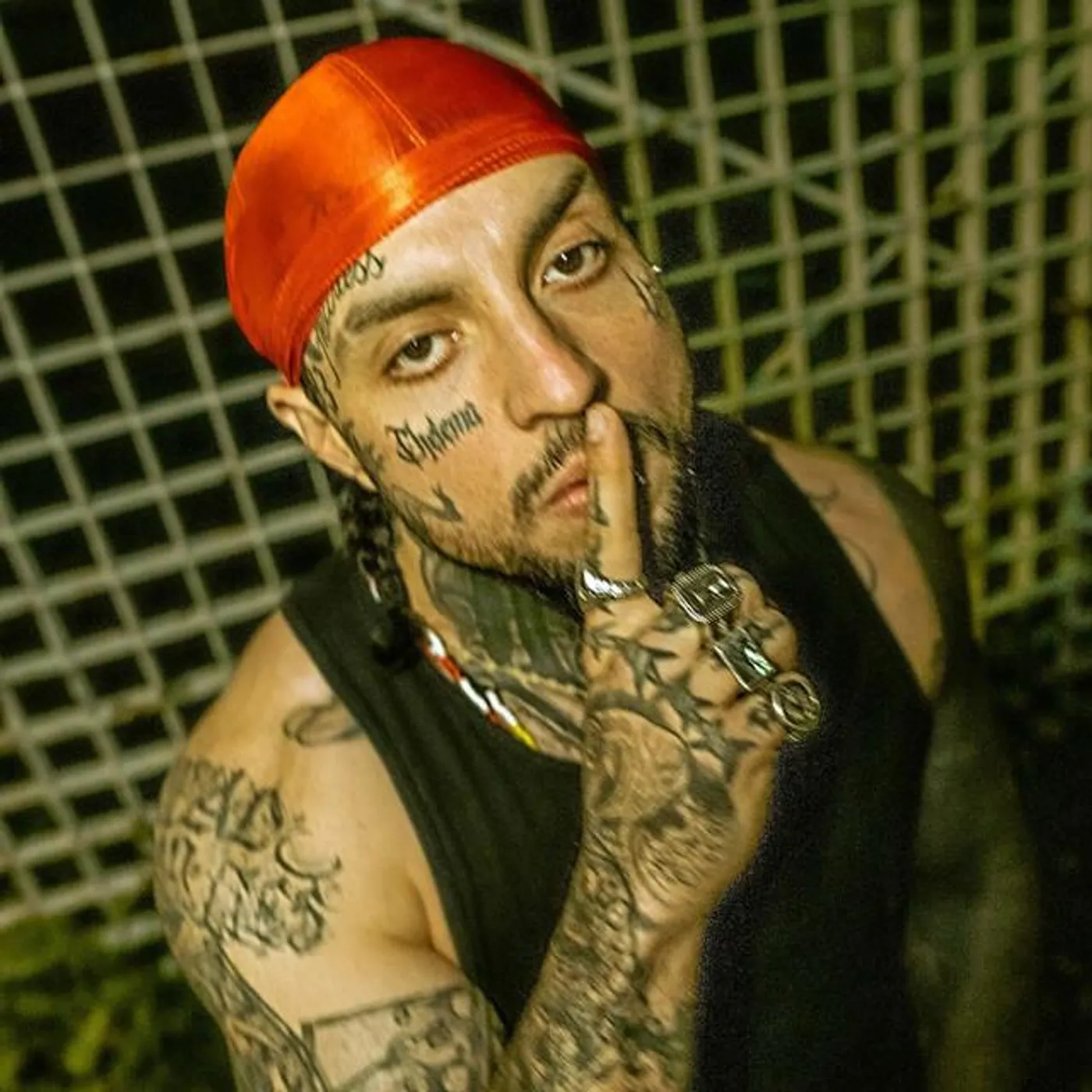 Lobo Estepario