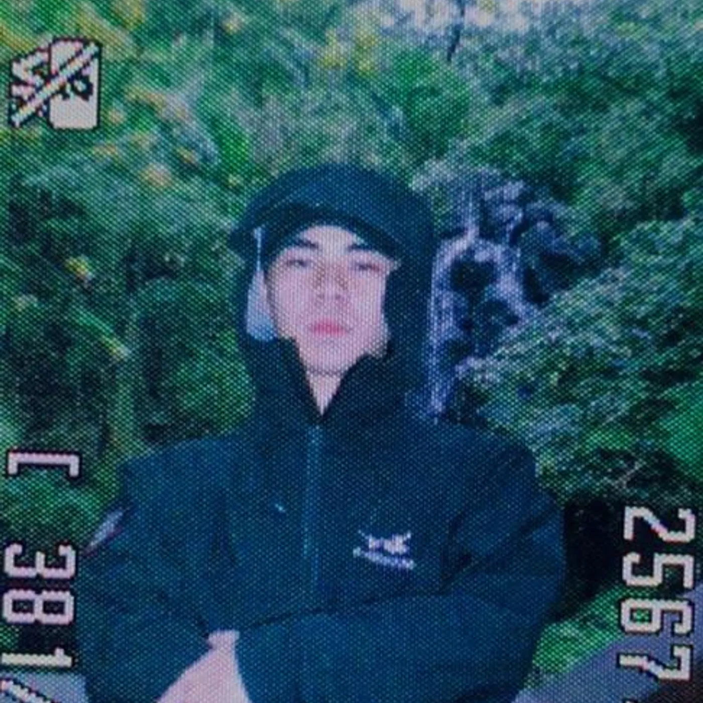 Lobo Slashemall