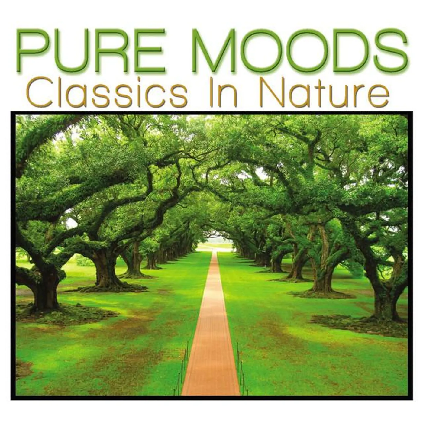 Lois Anderson Brand Page