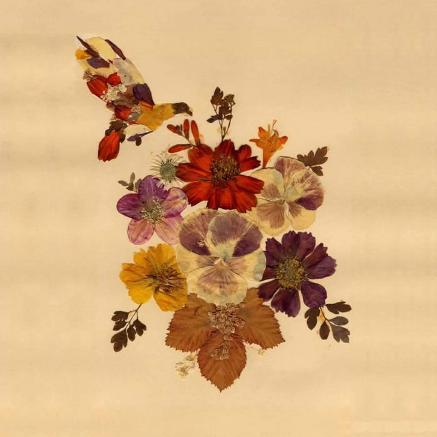 Lone Pigeon Brand Page