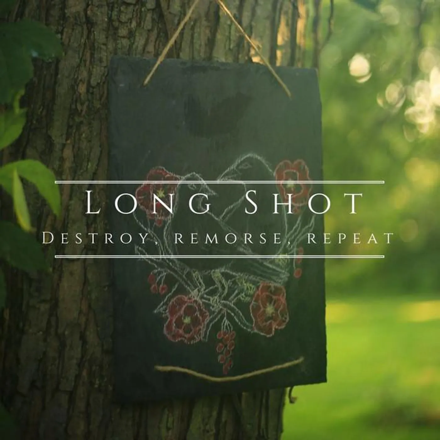 Long Shot