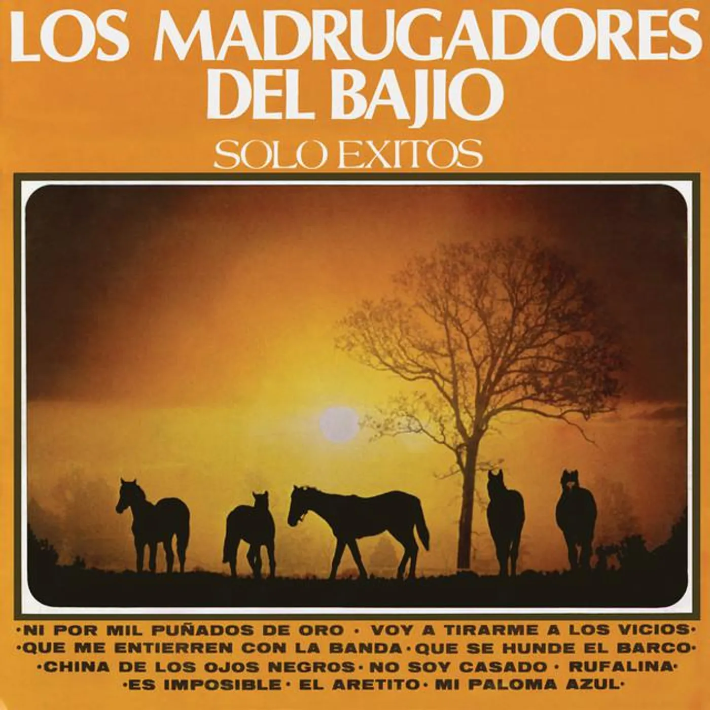 Los Madrugadores Del Bajio