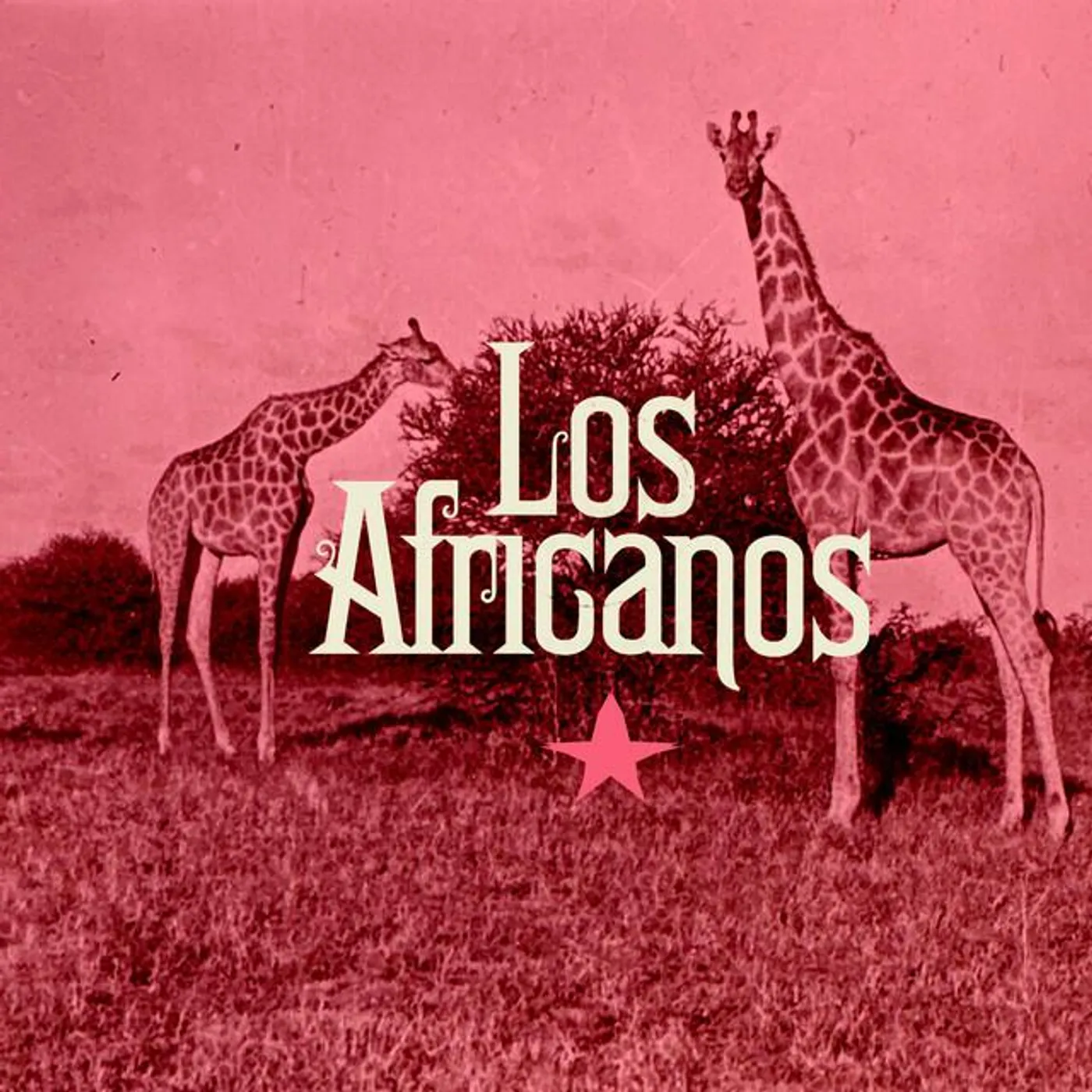 Los Africanos Brand Page