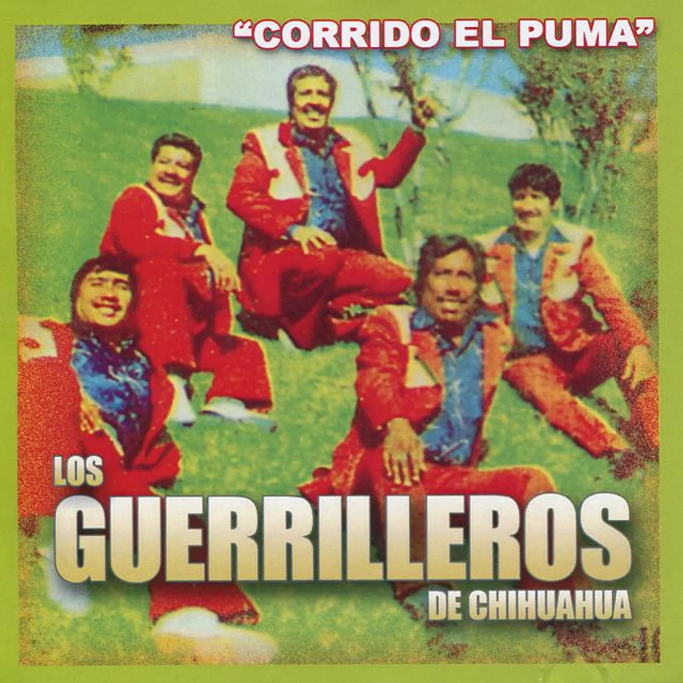 Los Guerrilleros de Chihuahua