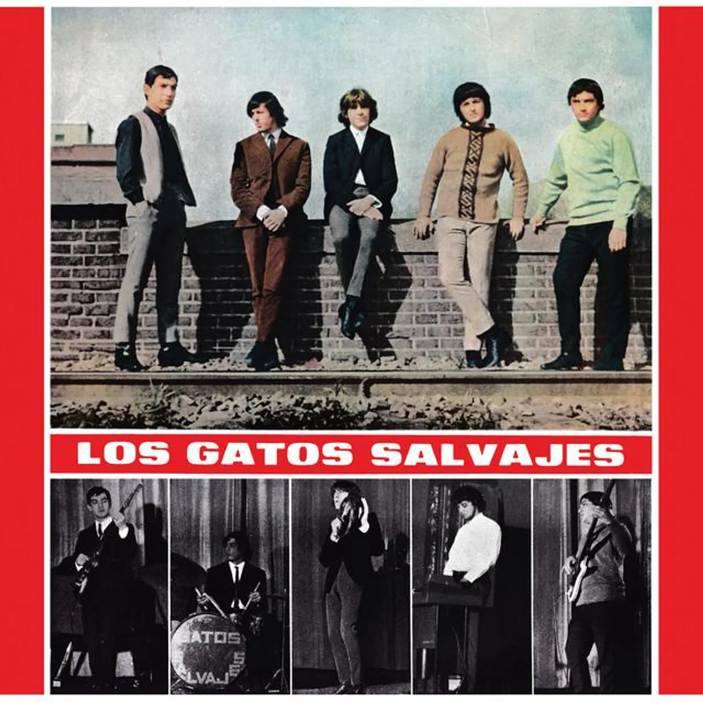 Los Gatos Salvajes